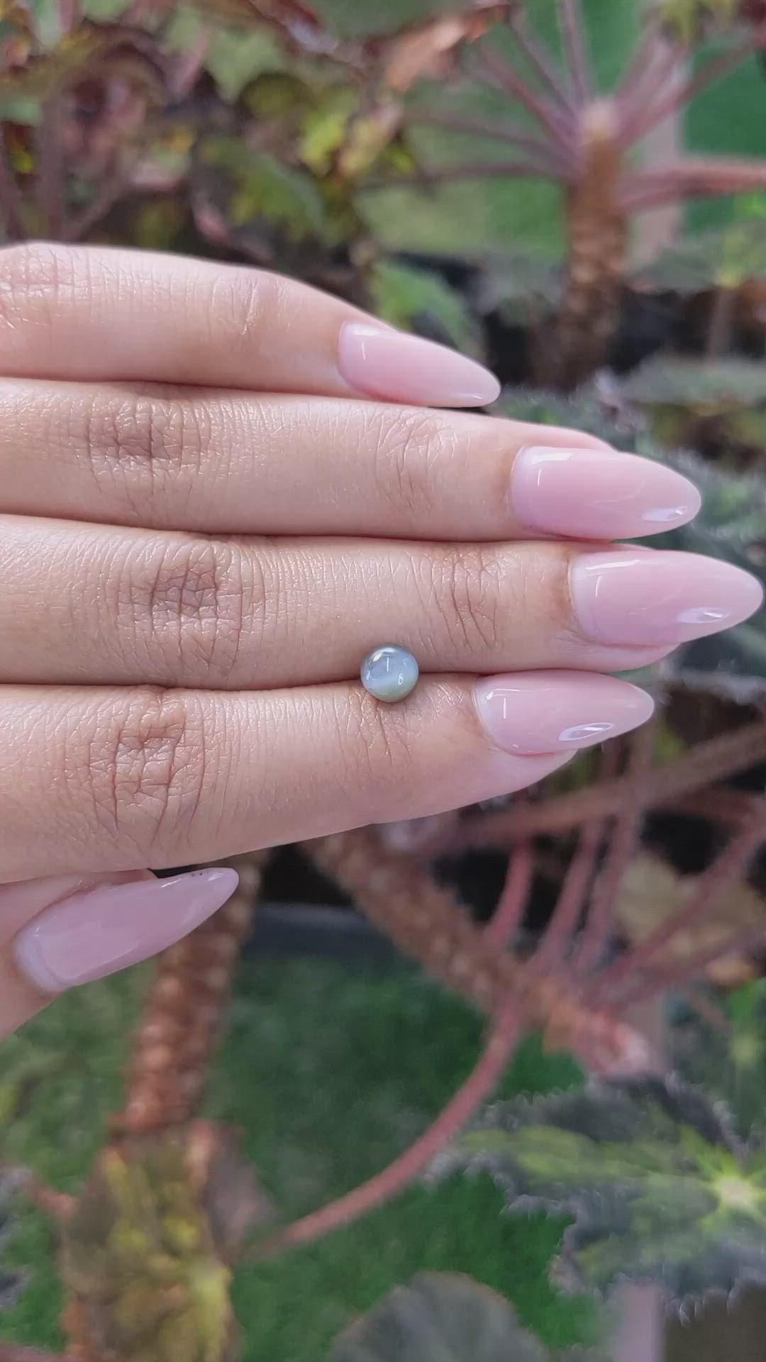 1.16 Ct. Green Cabochon Chrysoberyl from Ceylon (Sri Lanka) Size Video