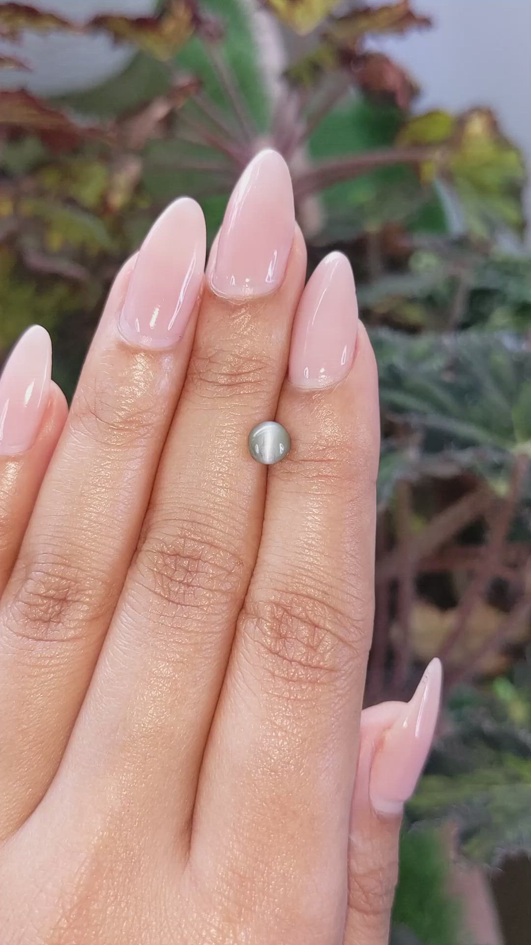 1.16 Ct. Green Cabochon Chrysoberyl from Ceylon (Sri Lanka) Size Video