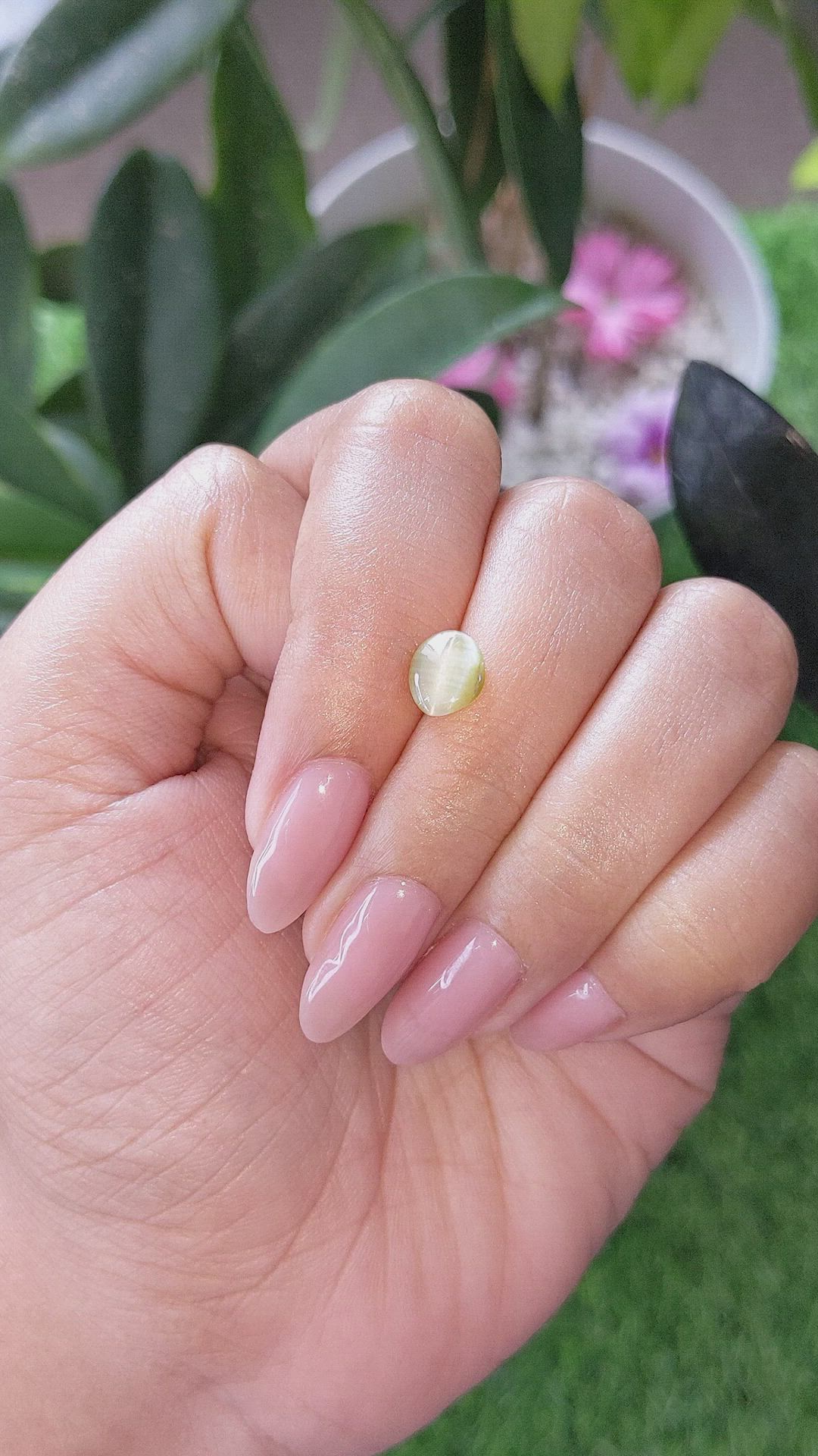 1.39 Ct. Yellowish Green Cabochon Chrysoberyl from Ceylon (Sri Lanka) Size Video