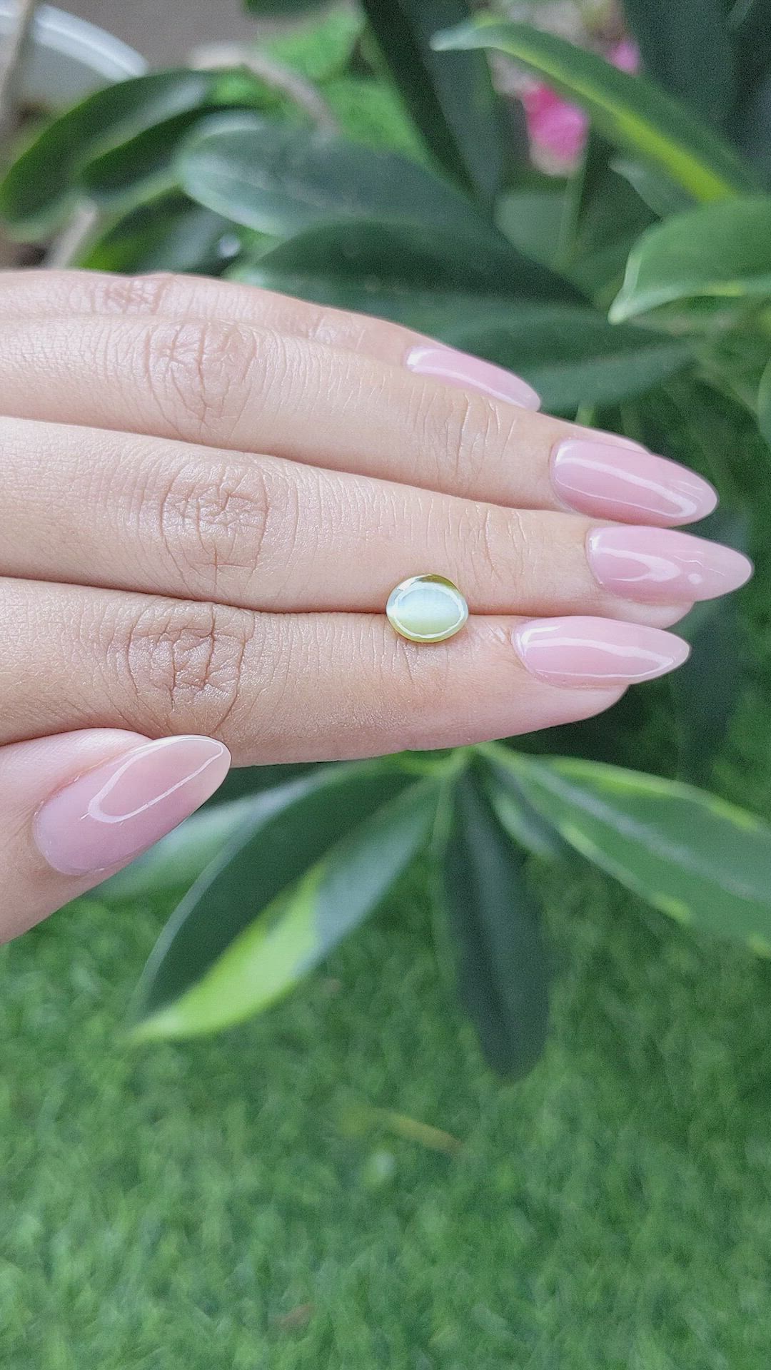 1.39 Ct. Yellowish Green Cabochon Chrysoberyl from Ceylon (Sri Lanka) Size Video