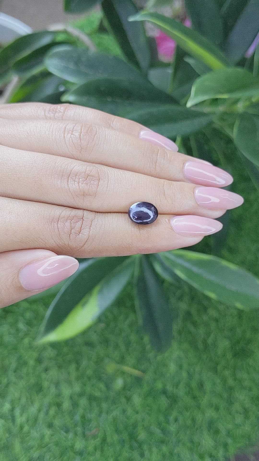 3.89 Ct. Purple Star Spinel from Ceylon (Sri Lanka) Size Video