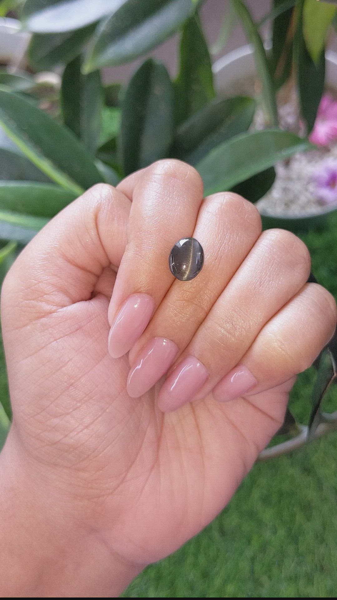 3.82 Ct. Black Cabochon Scapolite from Ceylon (Sri Lanka) Size Video