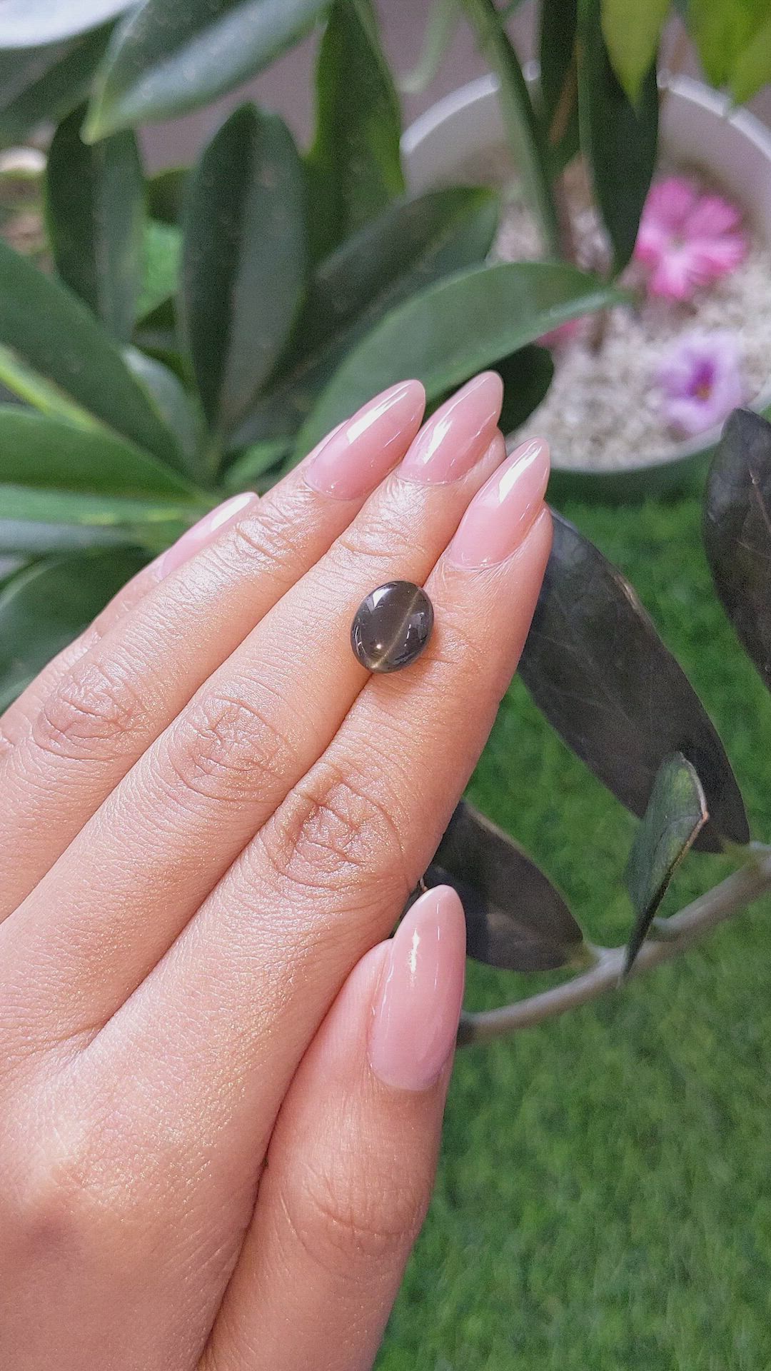 3.82 Ct. Black Cabochon Scapolite from Ceylon (Sri Lanka) Size Video
