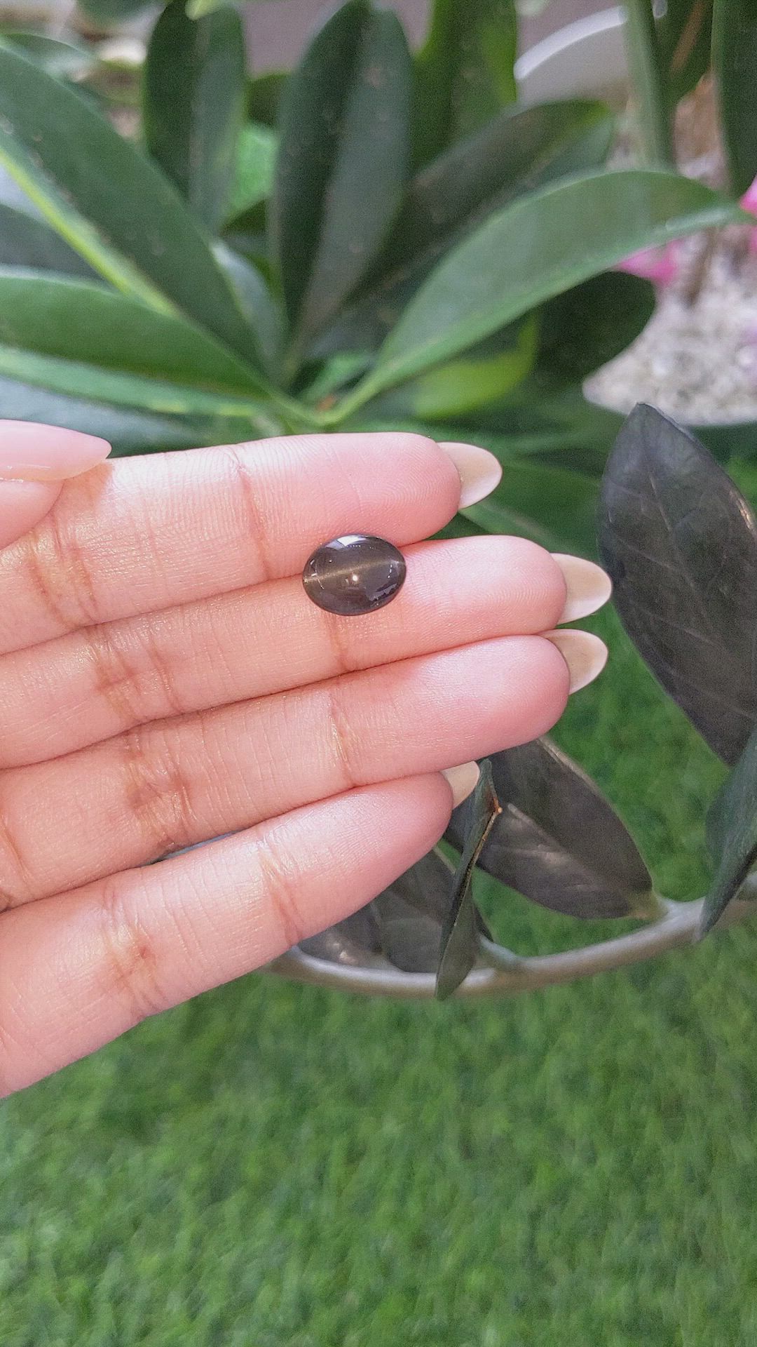 3.82 Ct. Black Cabochon Scapolite from Ceylon (Sri Lanka) Size Video