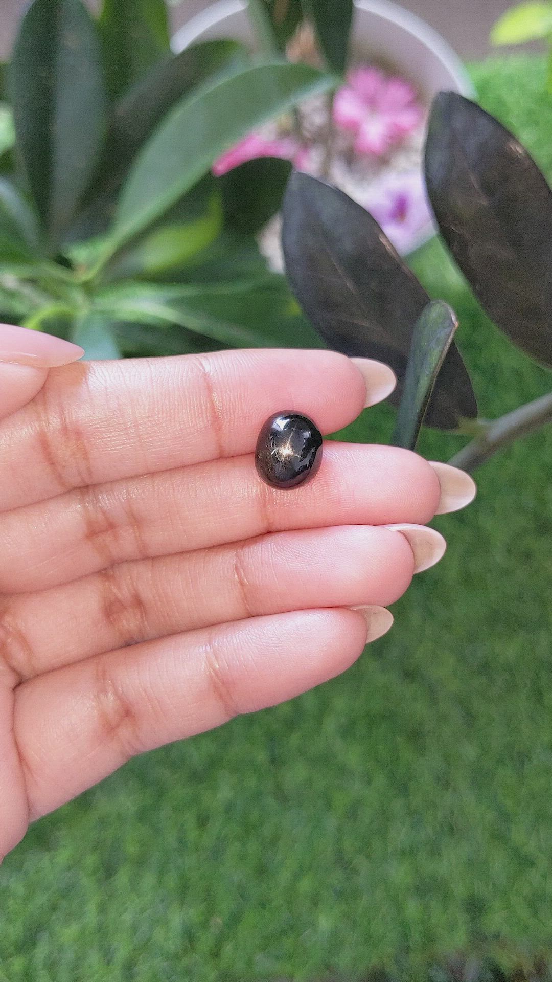 4.58 Ct. Black Star Diopside from Madagascar Size Video
