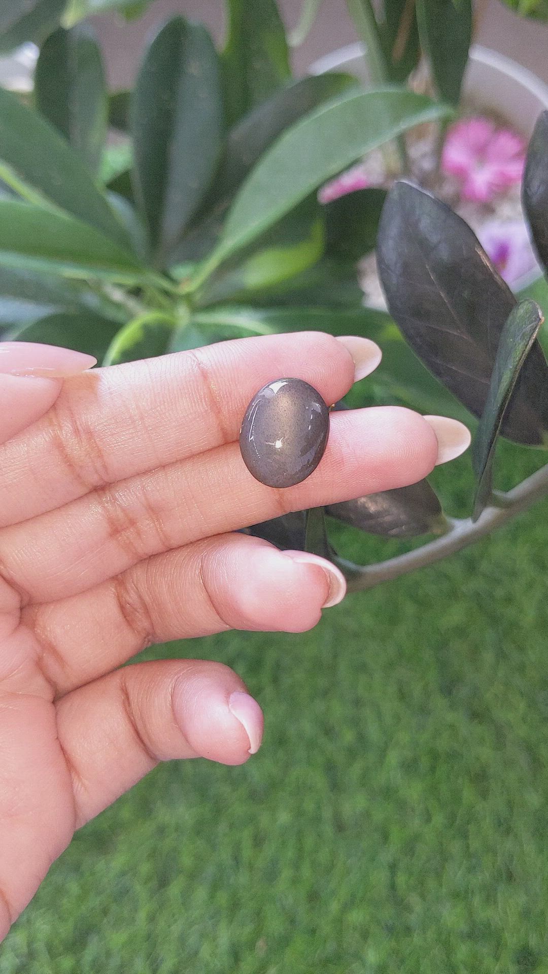 9.31 Ct. Grey Cabochon Moonstone from Ceylon (Sri Lanka) Size Video