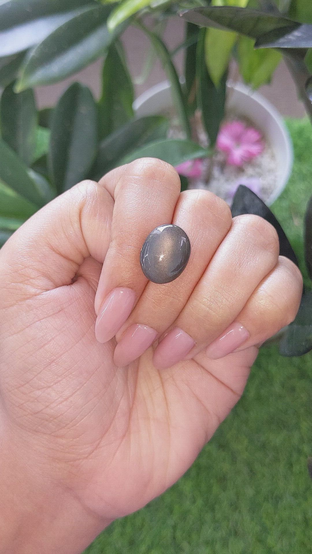 9.31 Ct. Grey Cabochon Moonstone from Ceylon (Sri Lanka) Size Video