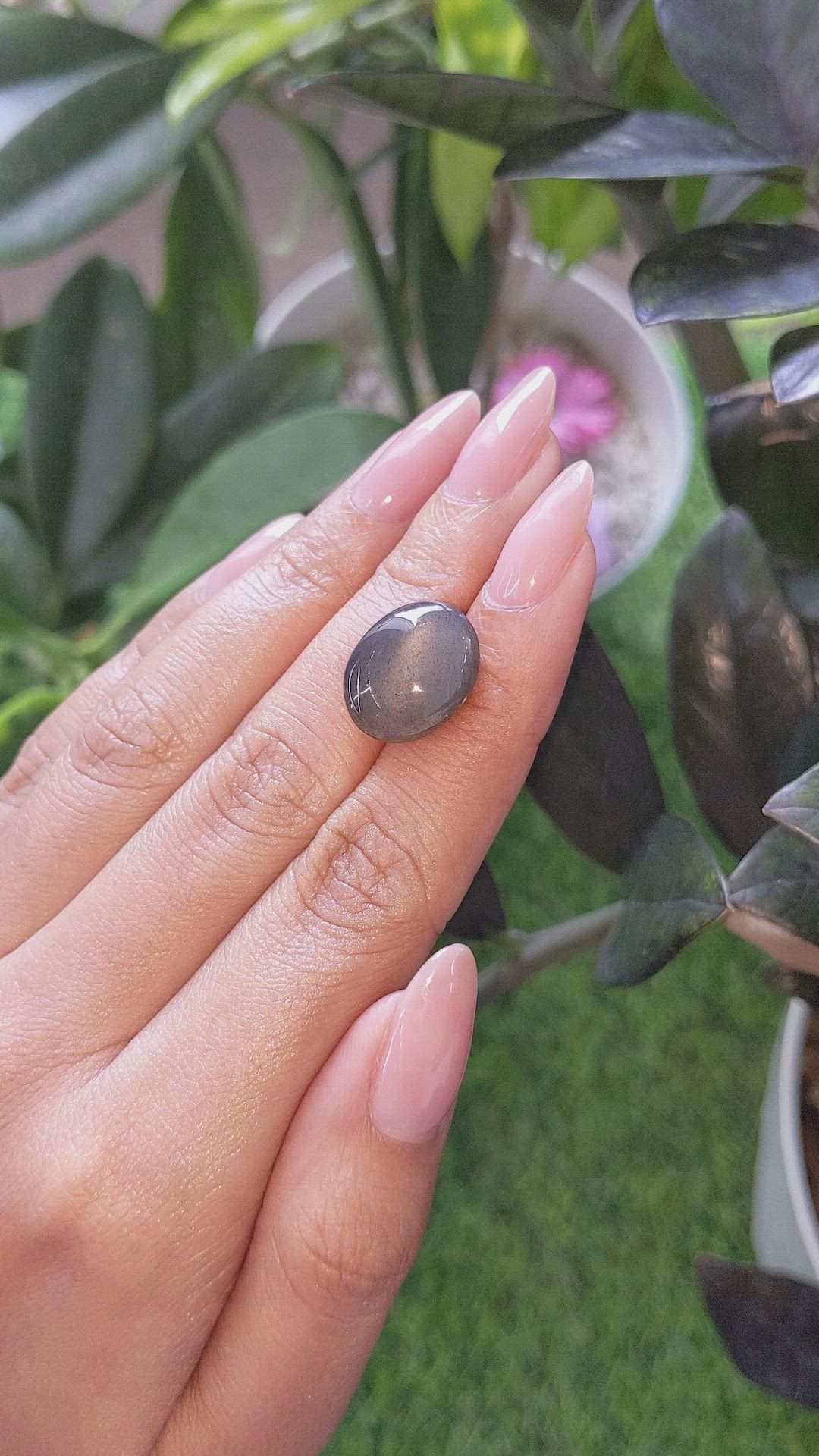 9.31 Ct. Grey Cabochon Moonstone from Ceylon (Sri Lanka) Size Video