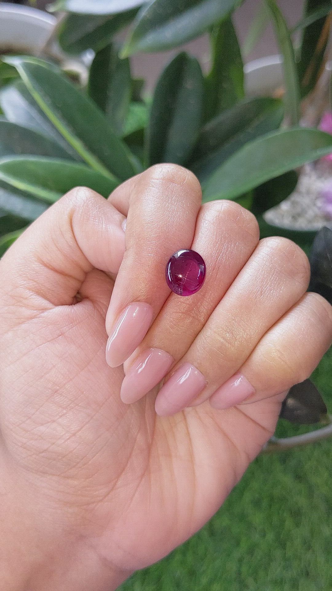 6.53 Ct. Pinkish Red Cabochon Garnet from Ceylon (Sri Lanka) Size Video