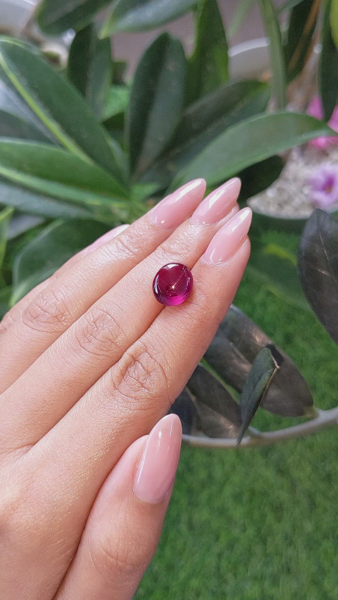 6.53 Ct. Pinkish Red Cabochon Garnet from Ceylon (Sri Lanka) Size Video