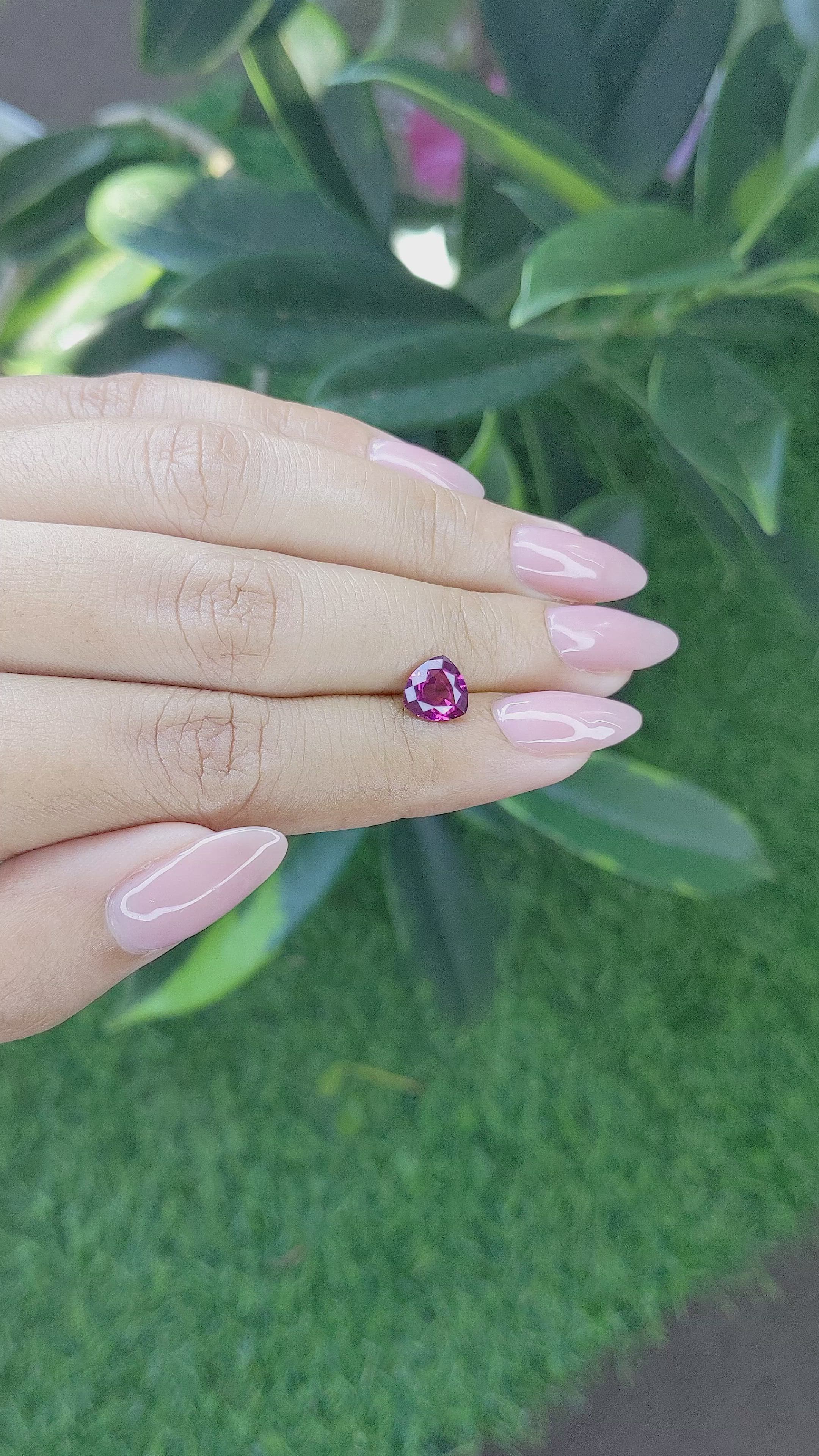 1.45 Ct. Purplish Pink Garnet from Ceylon (Sri Lanka) Size Video