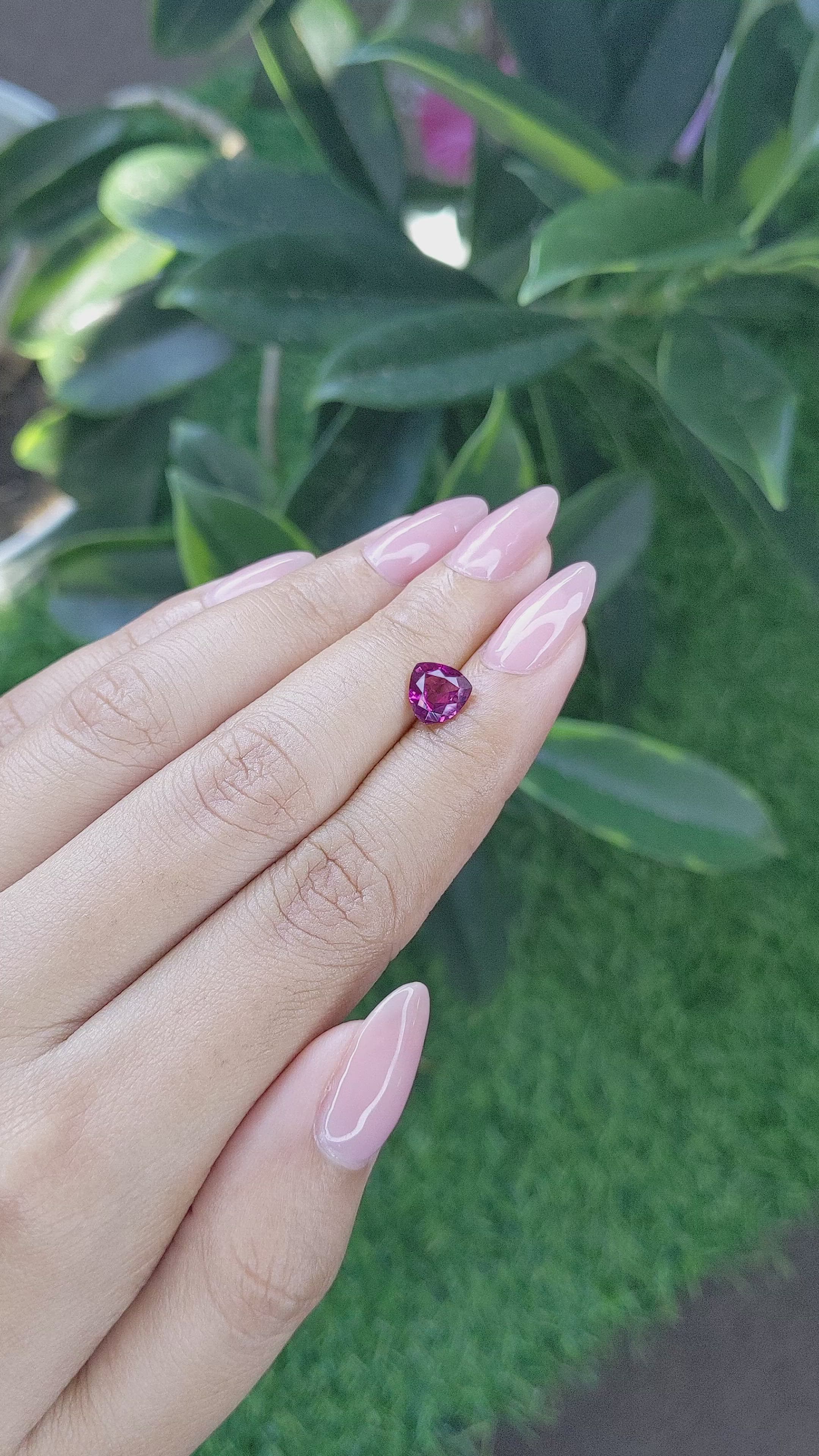 1.45 Ct. Purplish Pink Garnet from Ceylon (Sri Lanka) Size Video