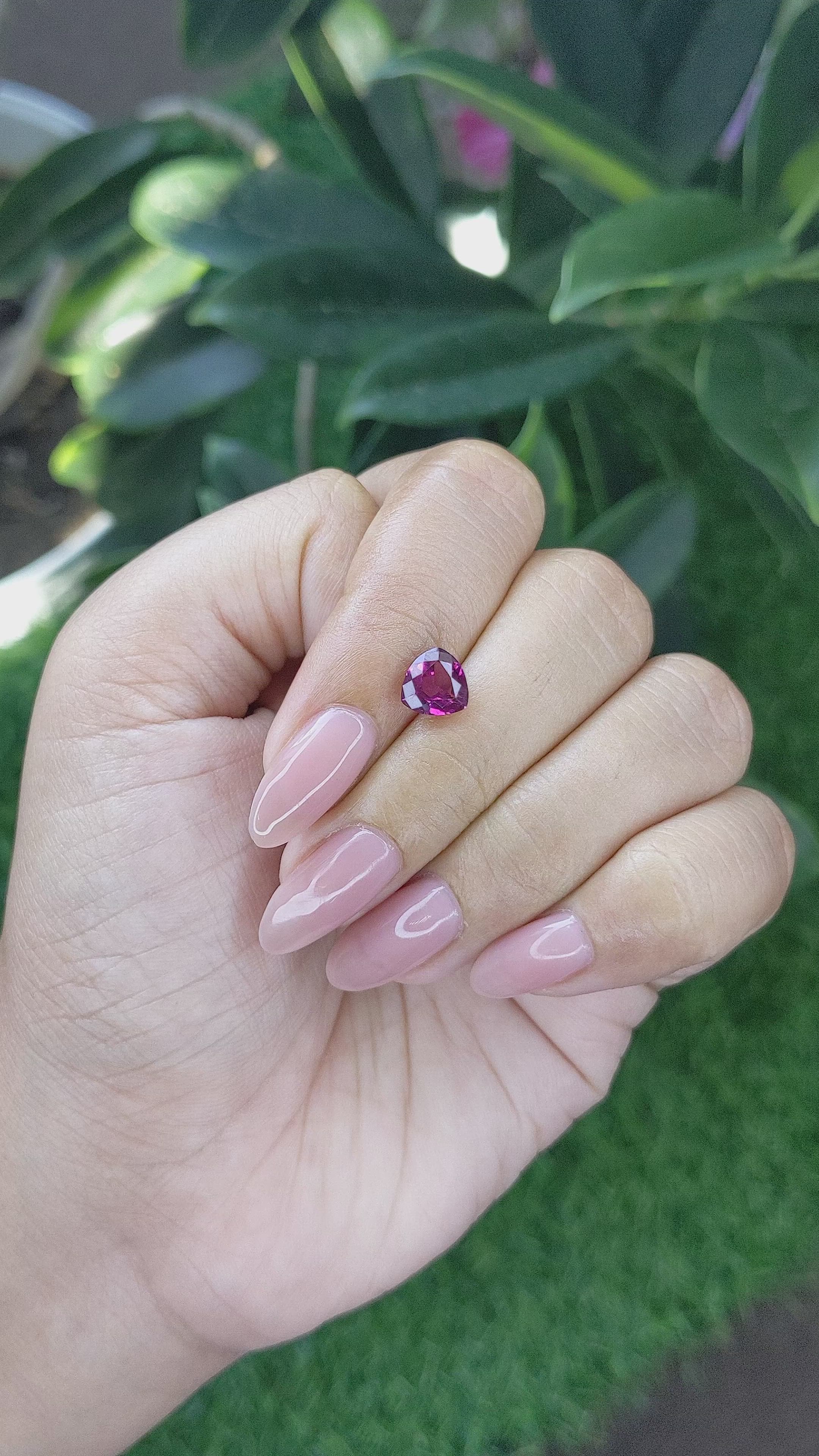 1.45 Ct. Purplish Pink Garnet from Ceylon (Sri Lanka) Size Video