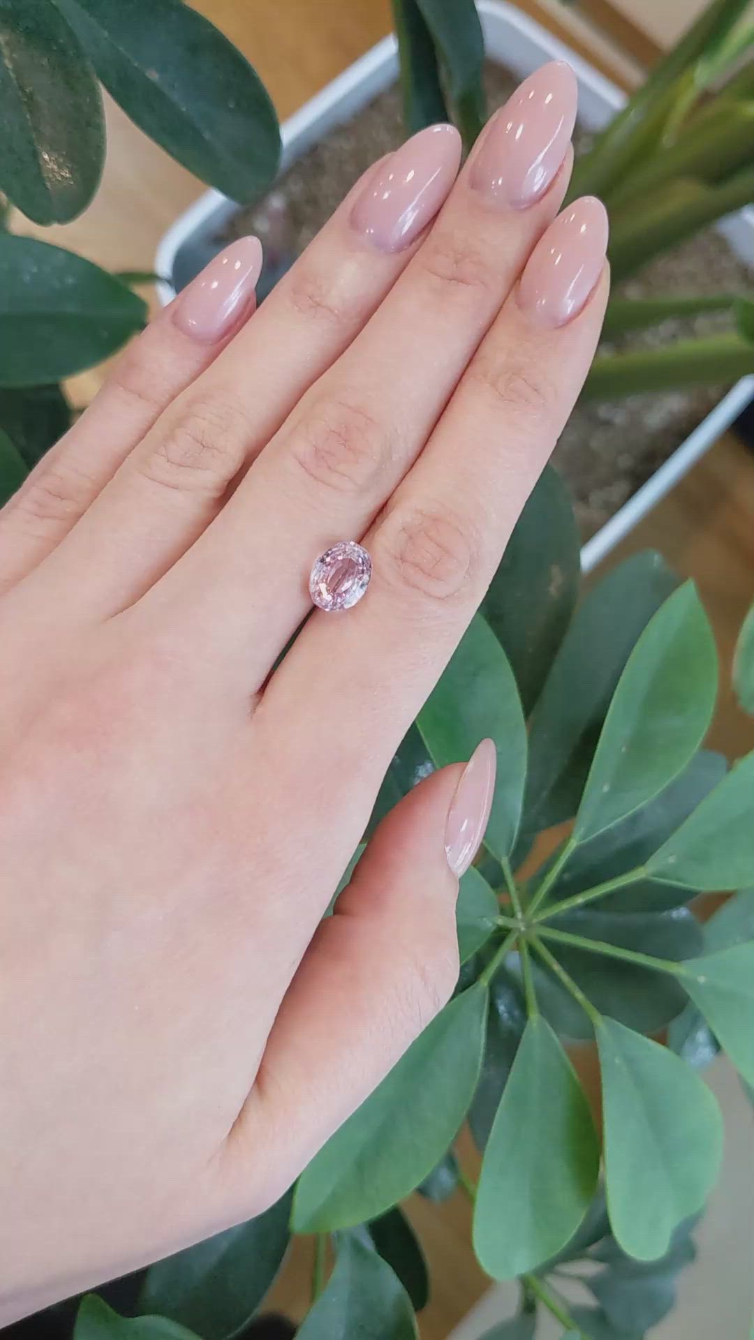 4.40 Ct. Kunzite from Brazil Size Video