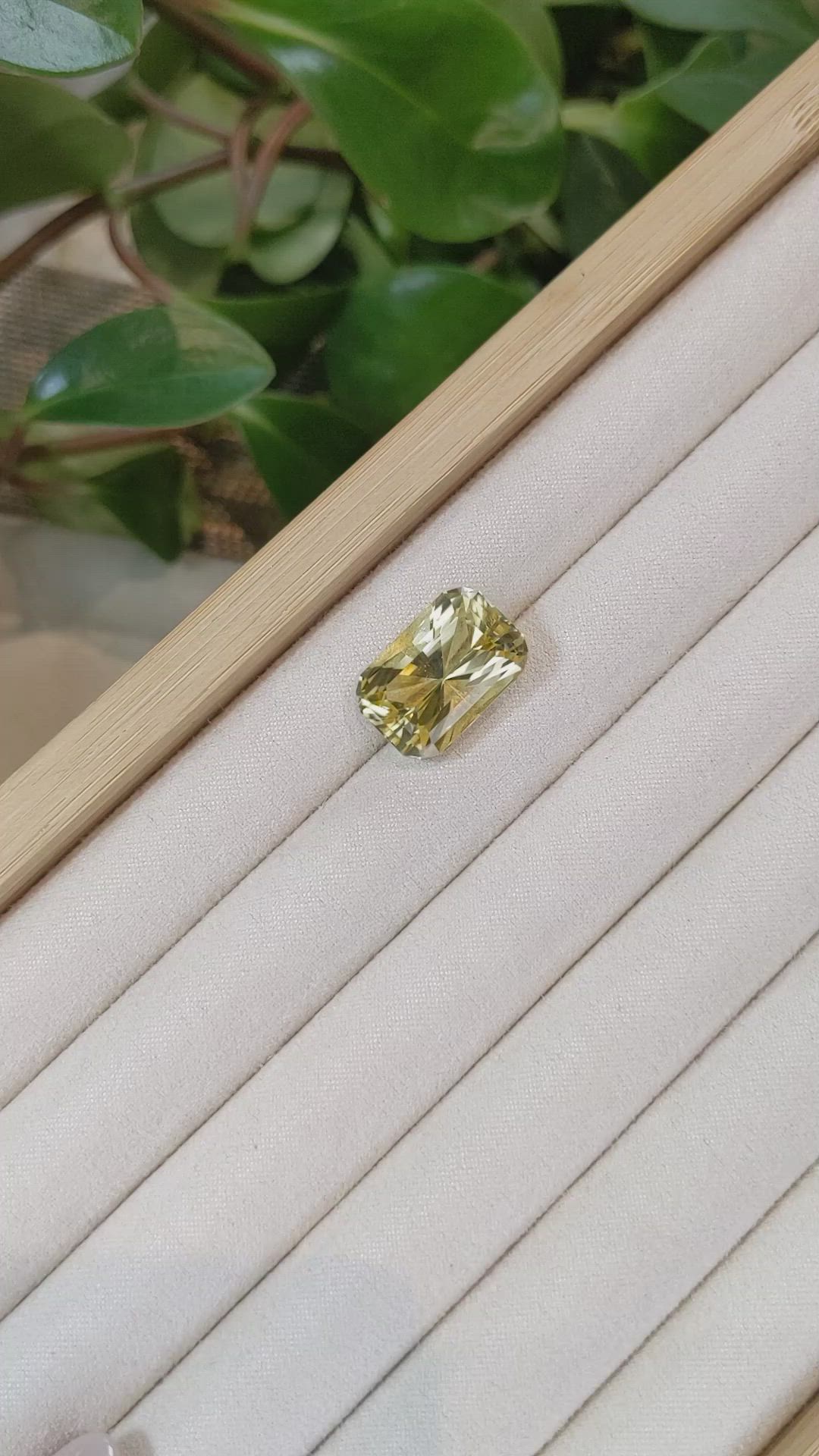 14.58 Ct. Scapolite from Brazil Size Video