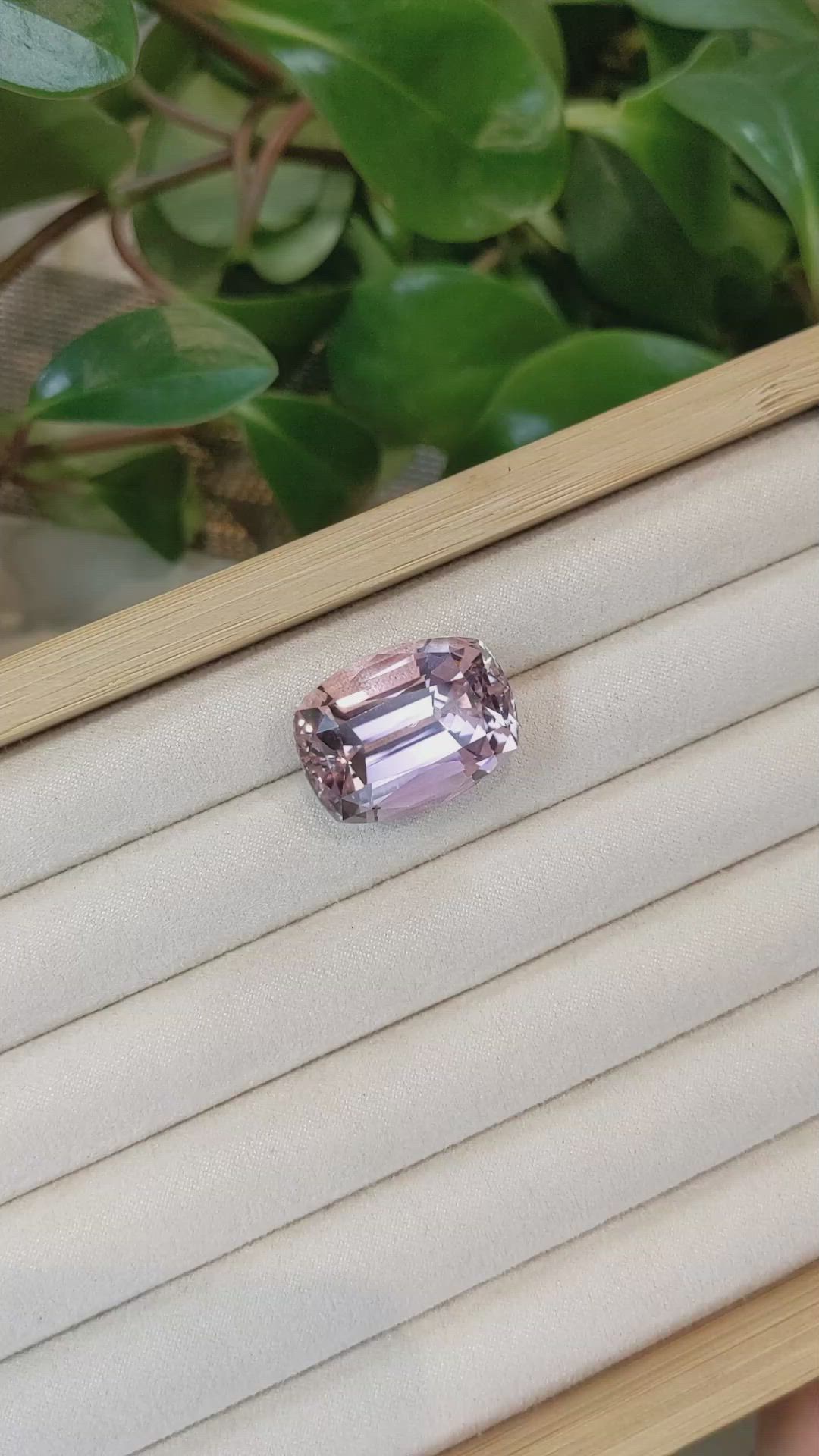 49.50 Ct. Kunzite from Afghanistan Size Video