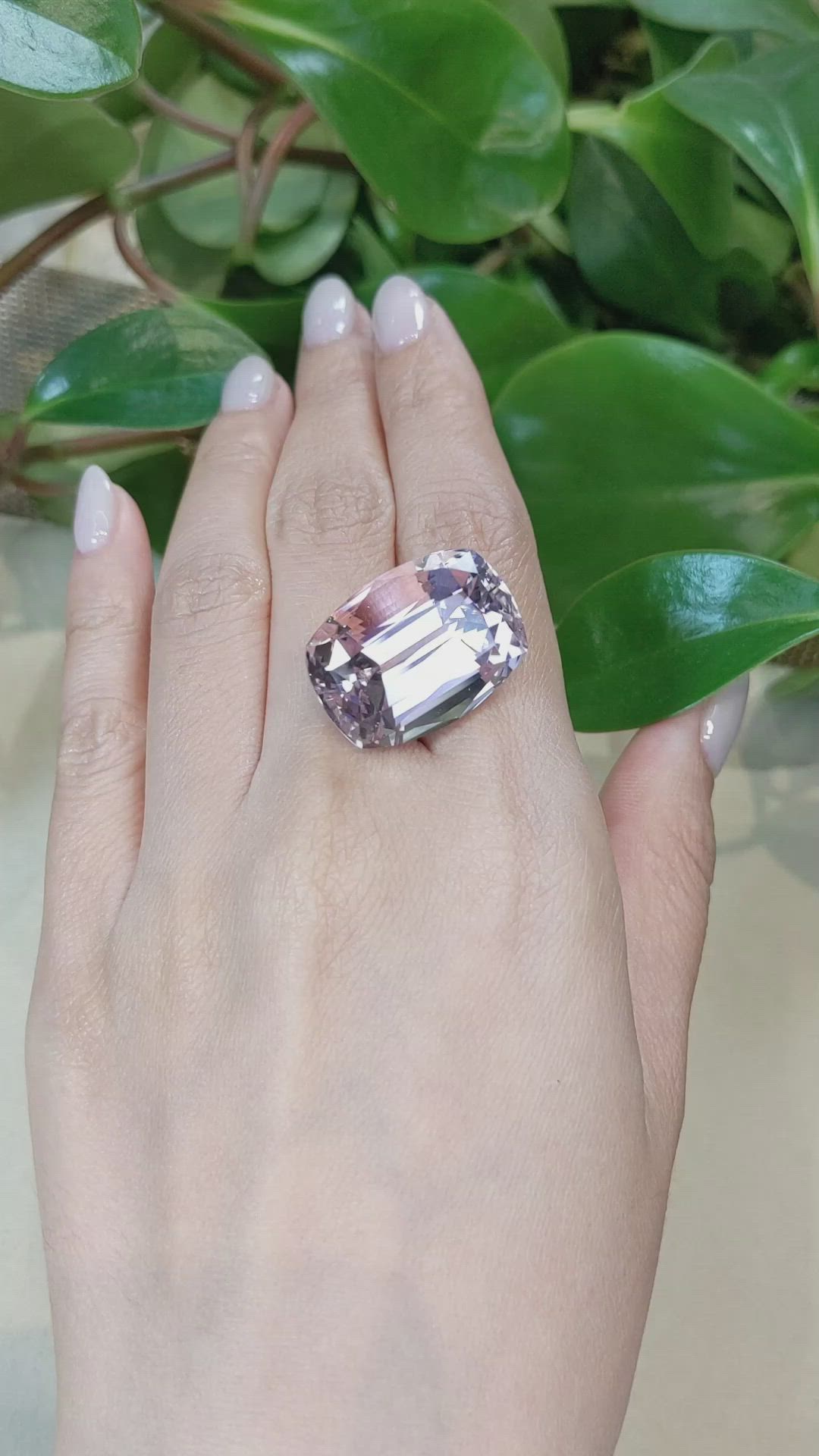 49.50 Ct. Kunzite from Afghanistan Size Video
