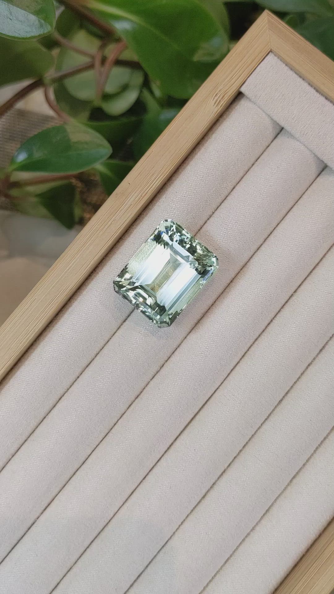 51.66 Ct. Beryl from Brazil Size Video