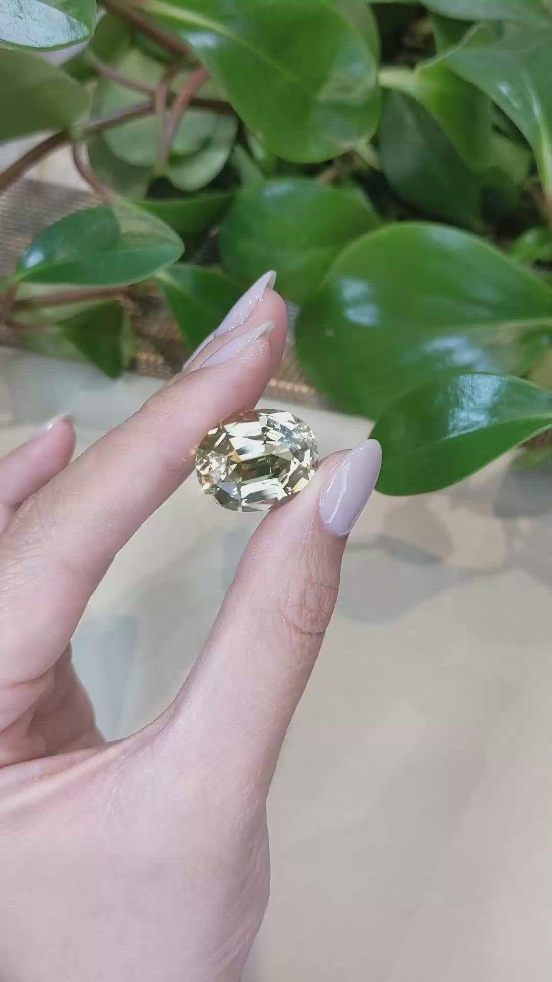 18.69 Ct. Scapolite from Brazil Size Video