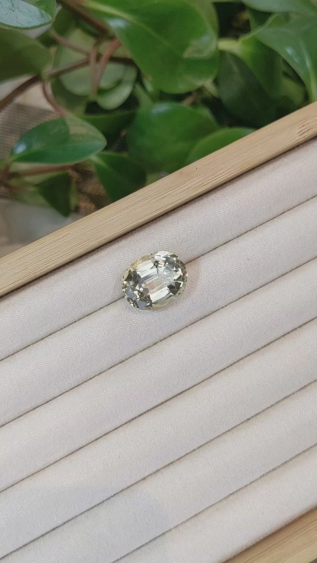 15.50 Ct. Scapolite from Brazil Size Video