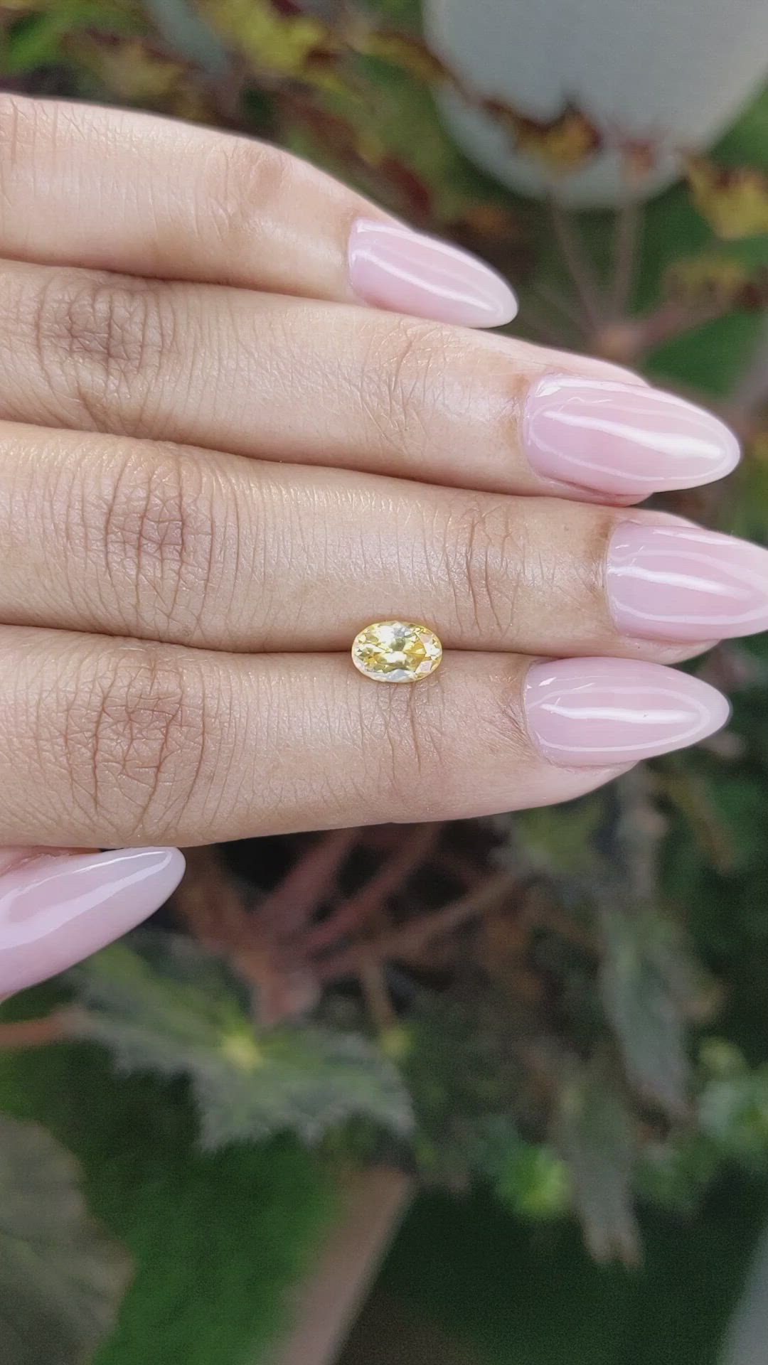 1.23 Ct. Zircon from Ceylon (Sri Lanka) Size Video