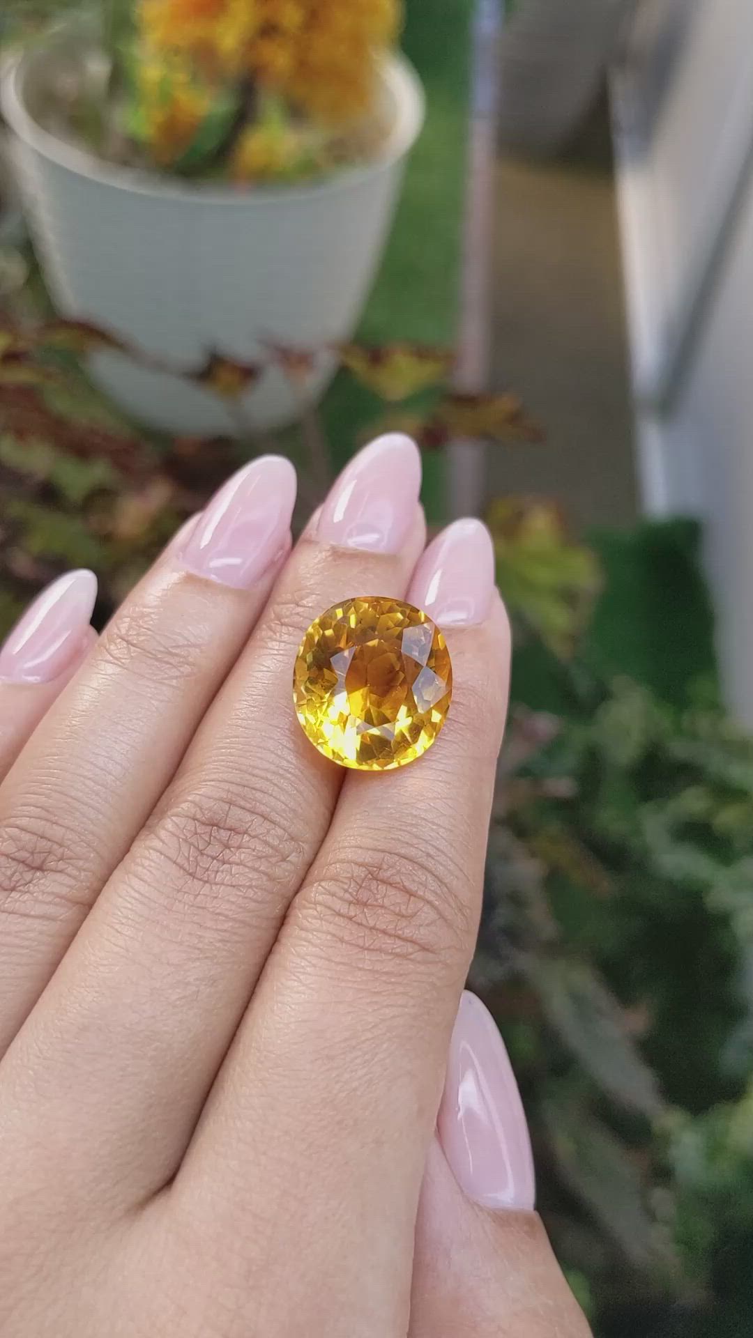 15.42 Ct. Citrine from Ceylon (Sri Lanka) Size Video