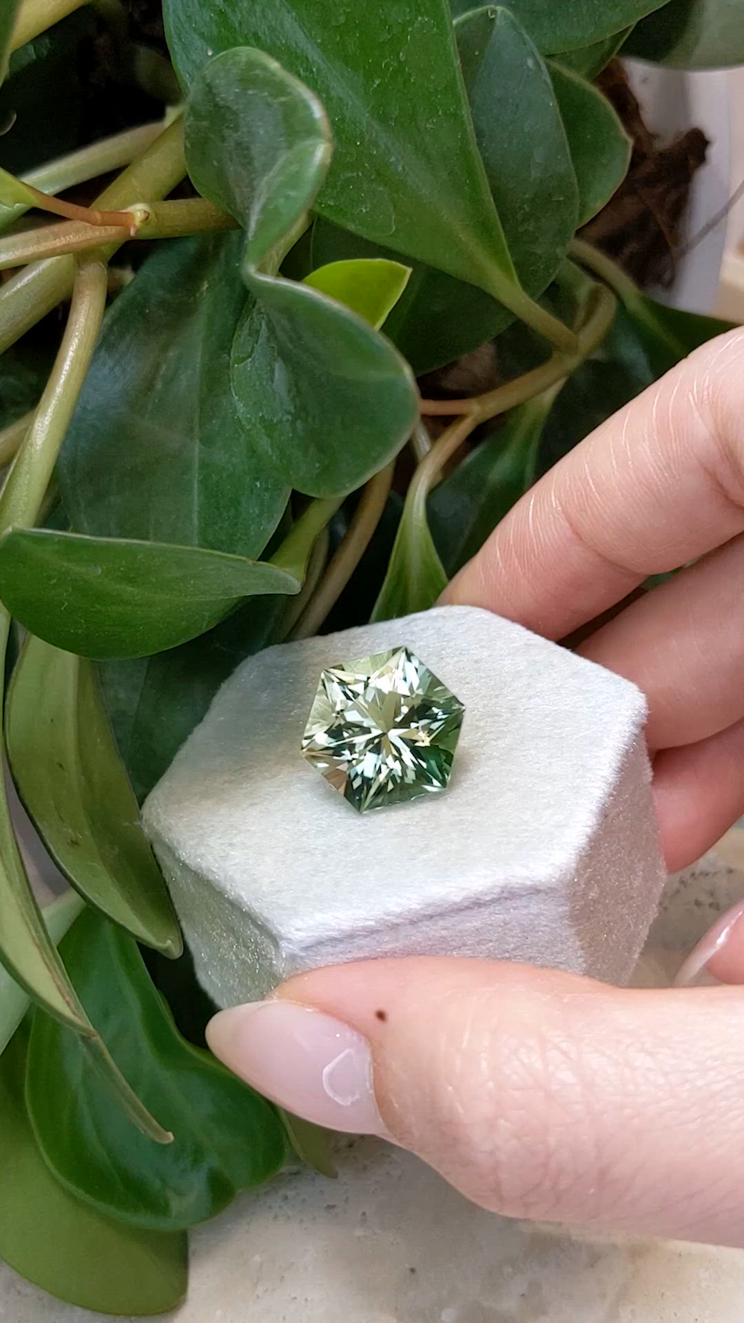 10.31 Ct. Prasiolite from Brazil Size Video