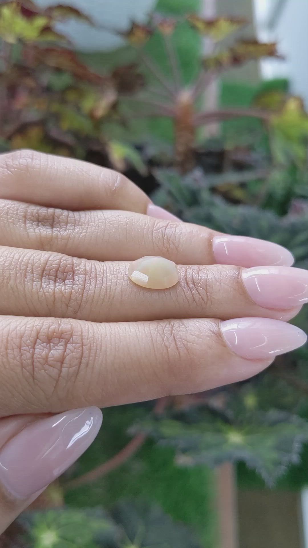 1.54 Ct. Crystal/Jelly Opal from Australia Size Video