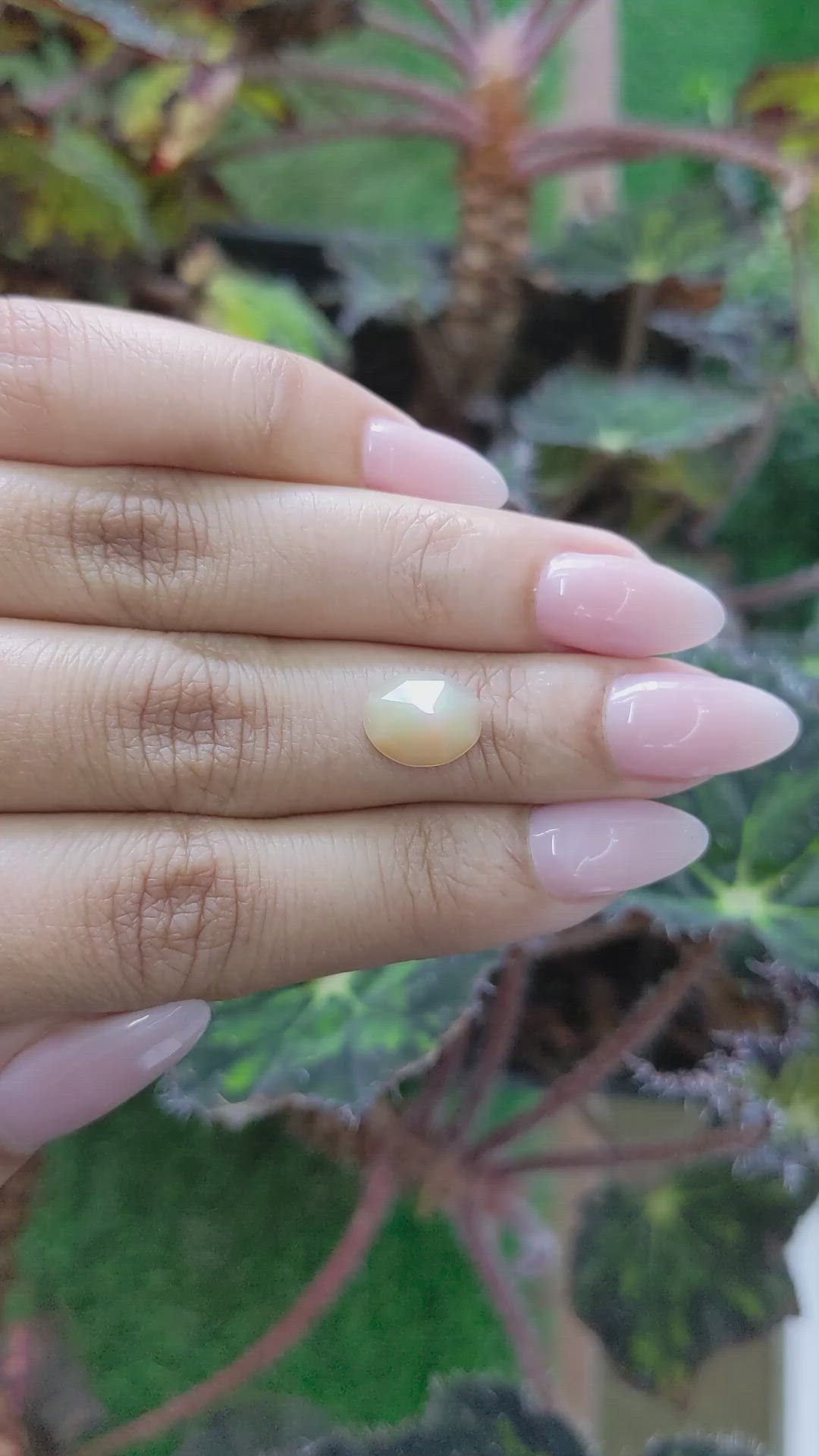 1.54 Ct. Crystal/Jelly Opal from Australia Size Video