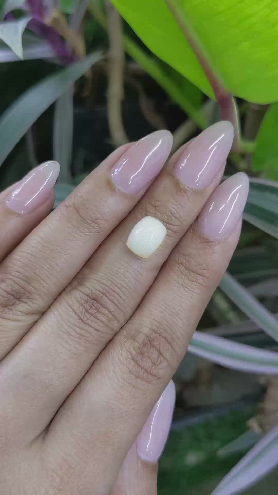 1.84 Ct. Cabochon White Opal from Australia Size Video