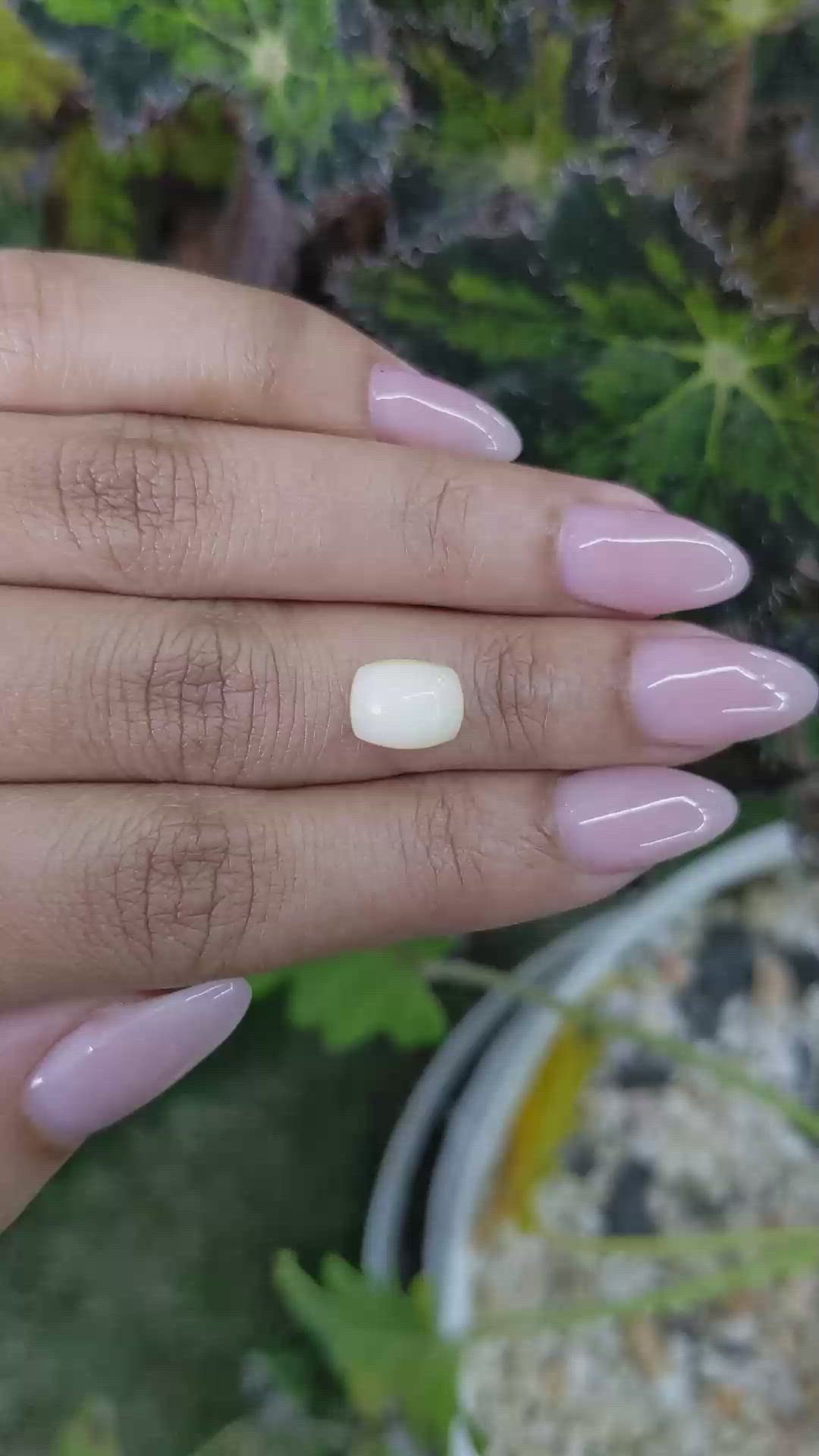 1.84 Ct. Cabochon White Opal from Australia Size Video