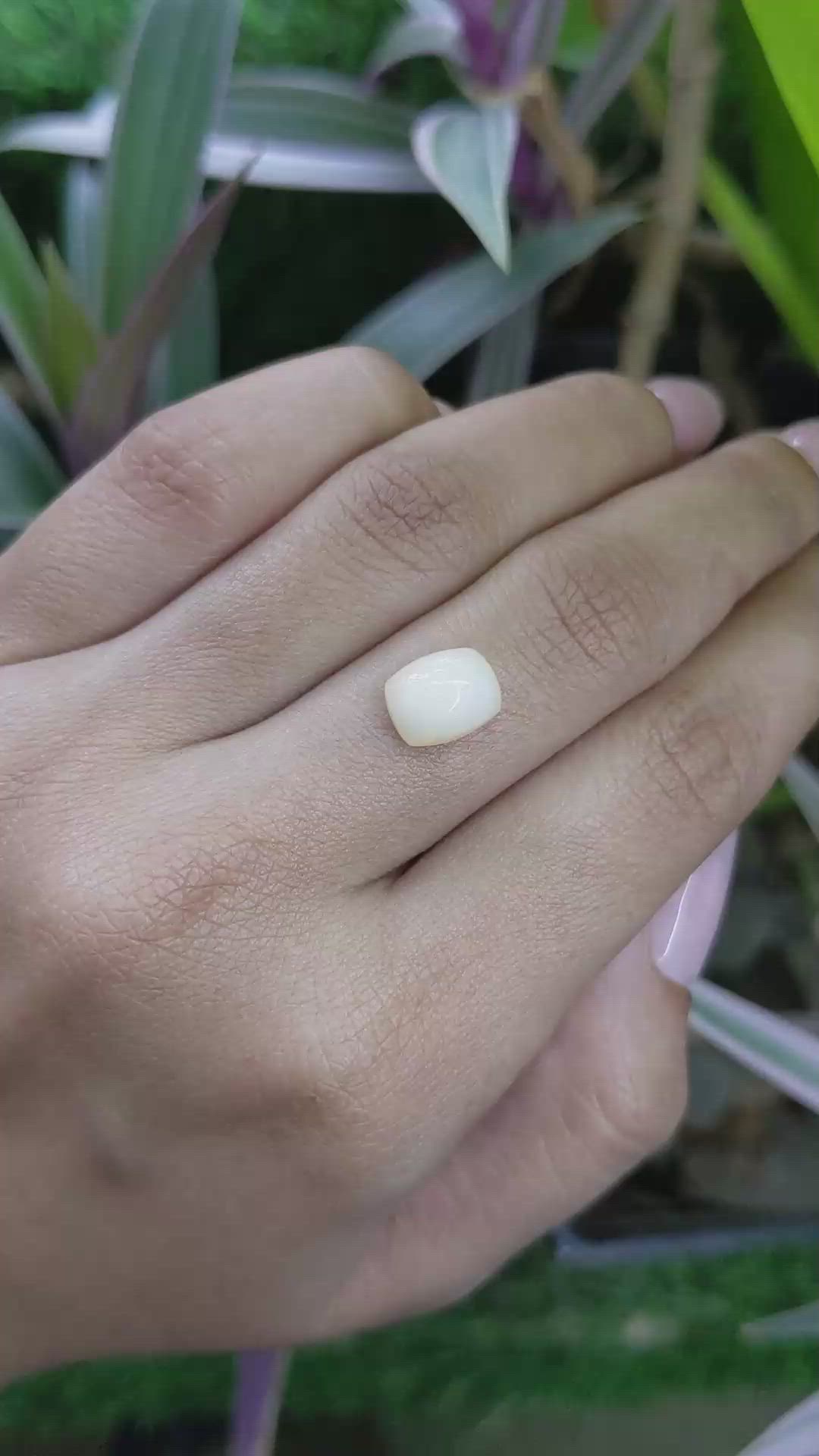 1.84 Ct. Cabochon White Opal from Australia Size Video