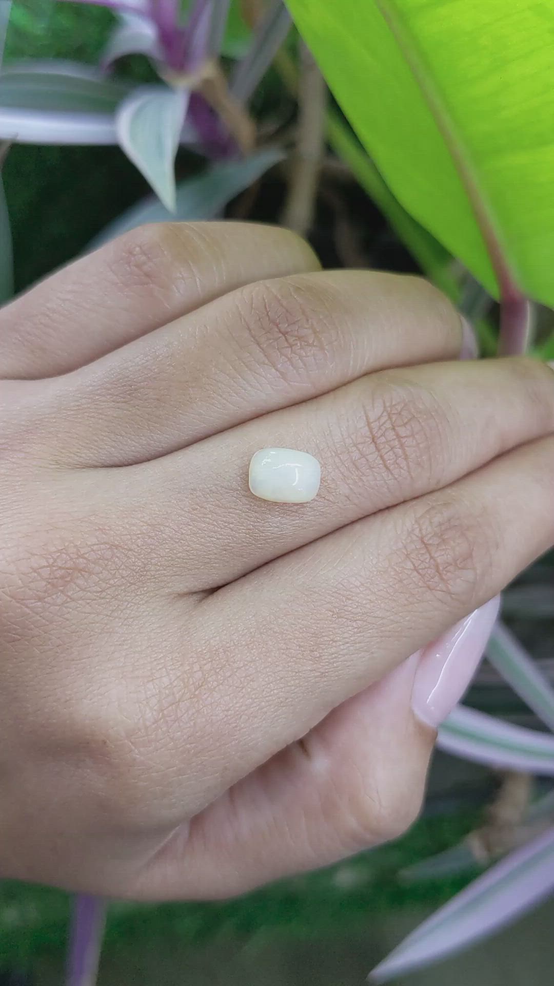 1.22 Ct. Cabochon White Opal from Australia Size Video