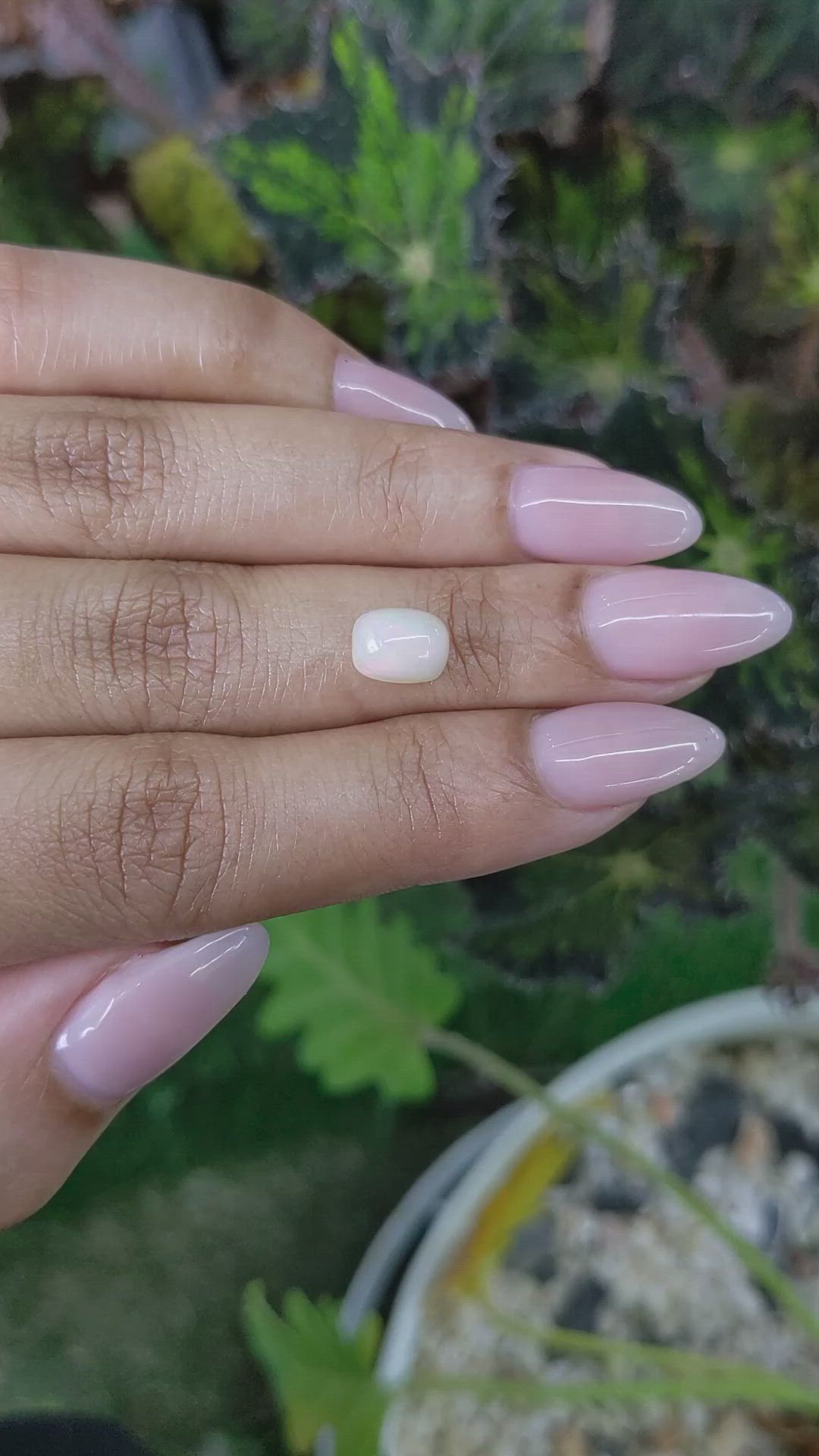 1.24 Ct. Cabochon White Opal from Australia Size Video