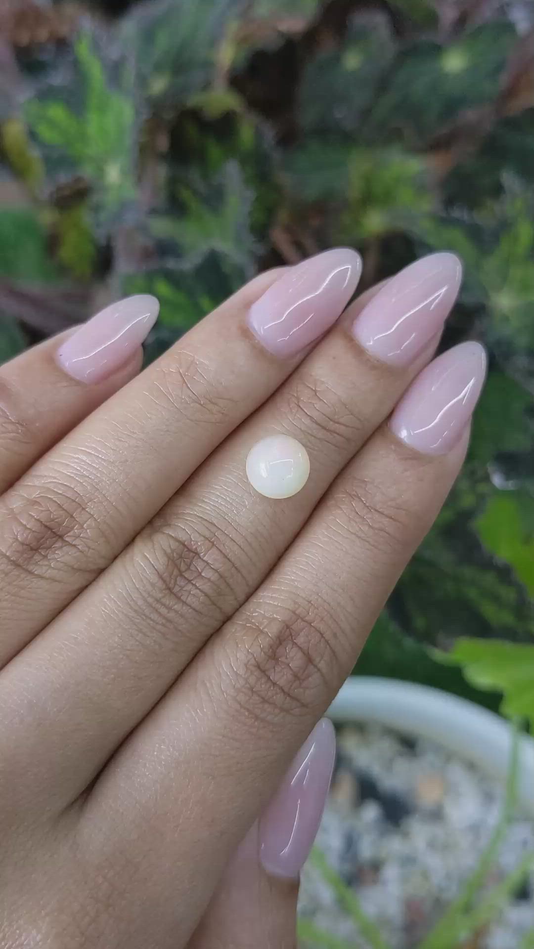 1.32 Ct. Cabochon White Opal from Australia Size Video