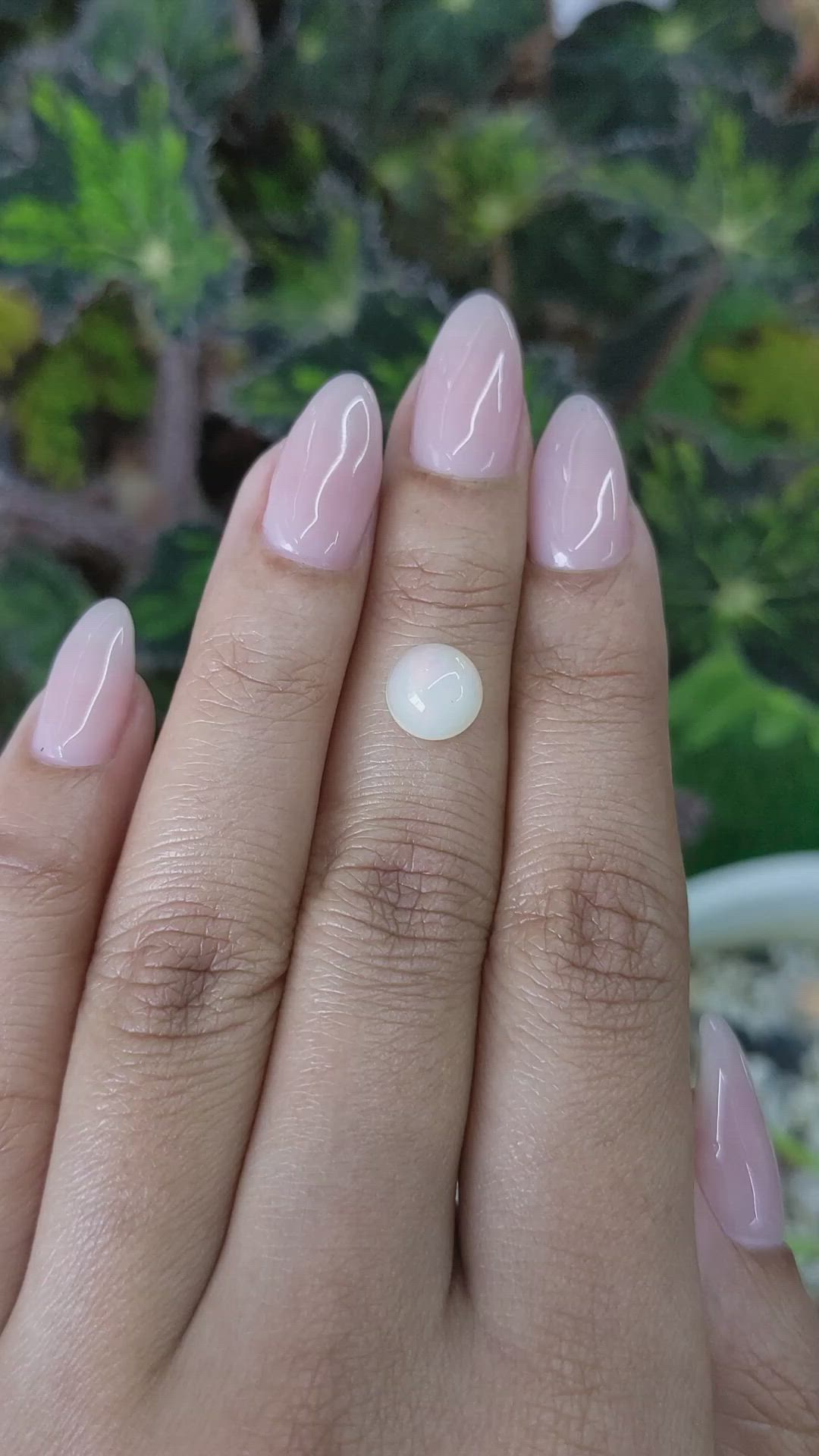 1.32 Ct. Cabochon White Opal from Australia Size Video