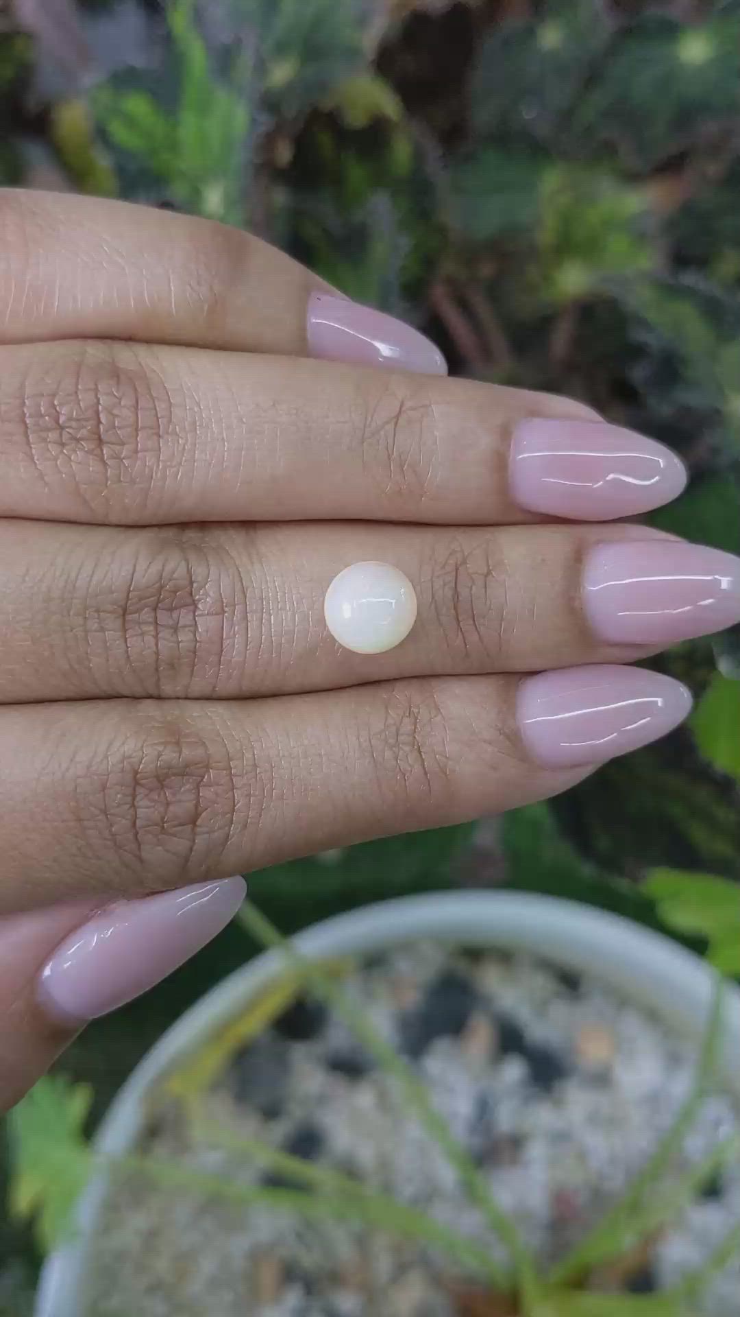 1.32 Ct. Cabochon White Opal from Australia Size Video