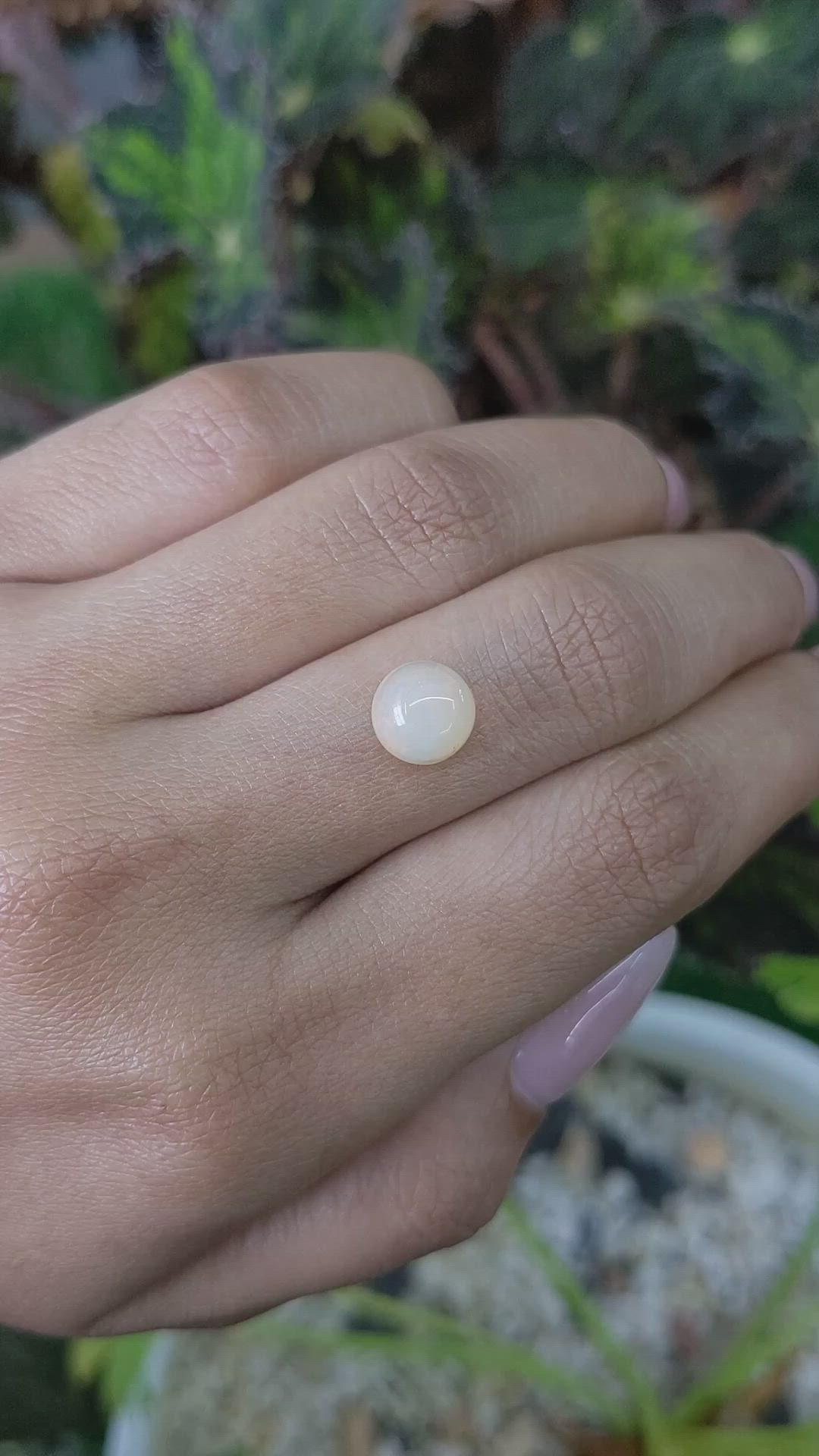 1.80 Ct. Cabochon White Opal from Australia Size Video