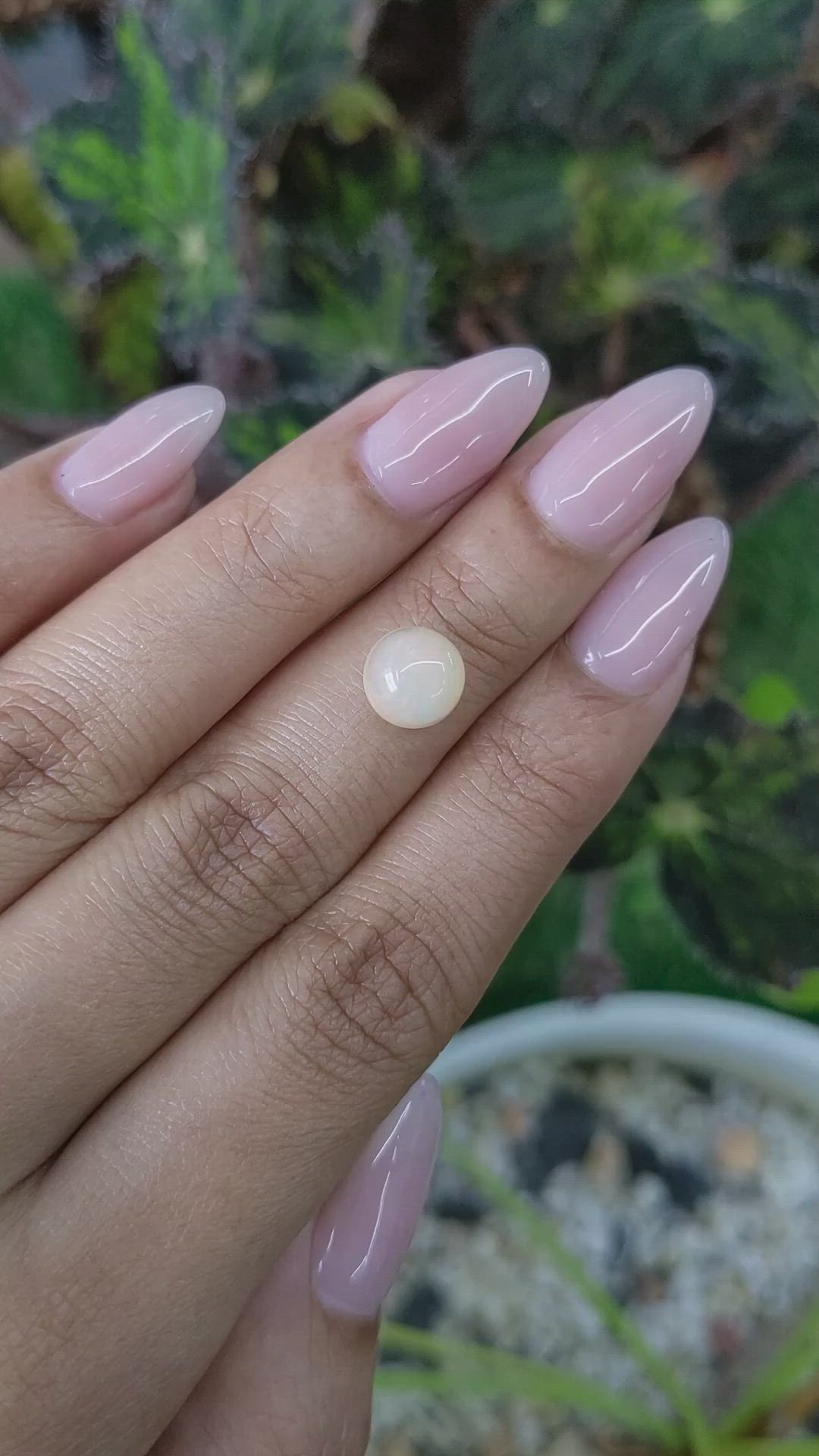 1.80 Ct. Cabochon White Opal from Australia Size Video