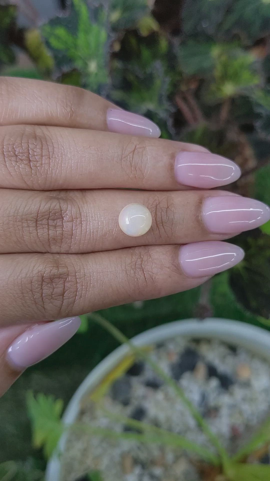 1.80 Ct. Cabochon White Opal from Australia Size Video