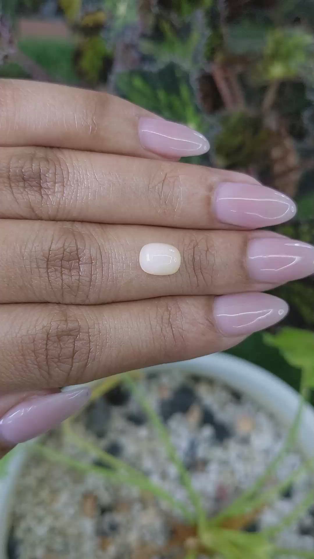 1.18 Ct. Cabochon White Opal from Australia Size Video