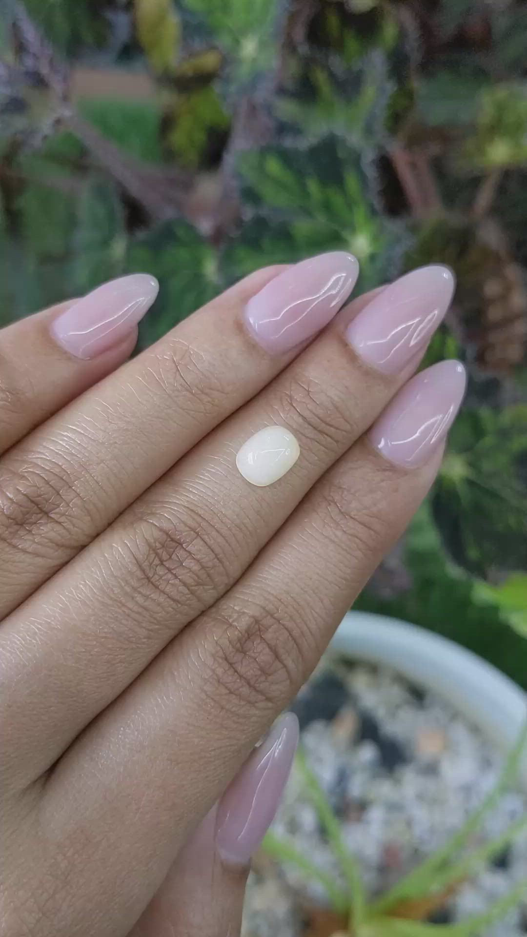 1.18 Ct. Cabochon White Opal from Australia Size Video