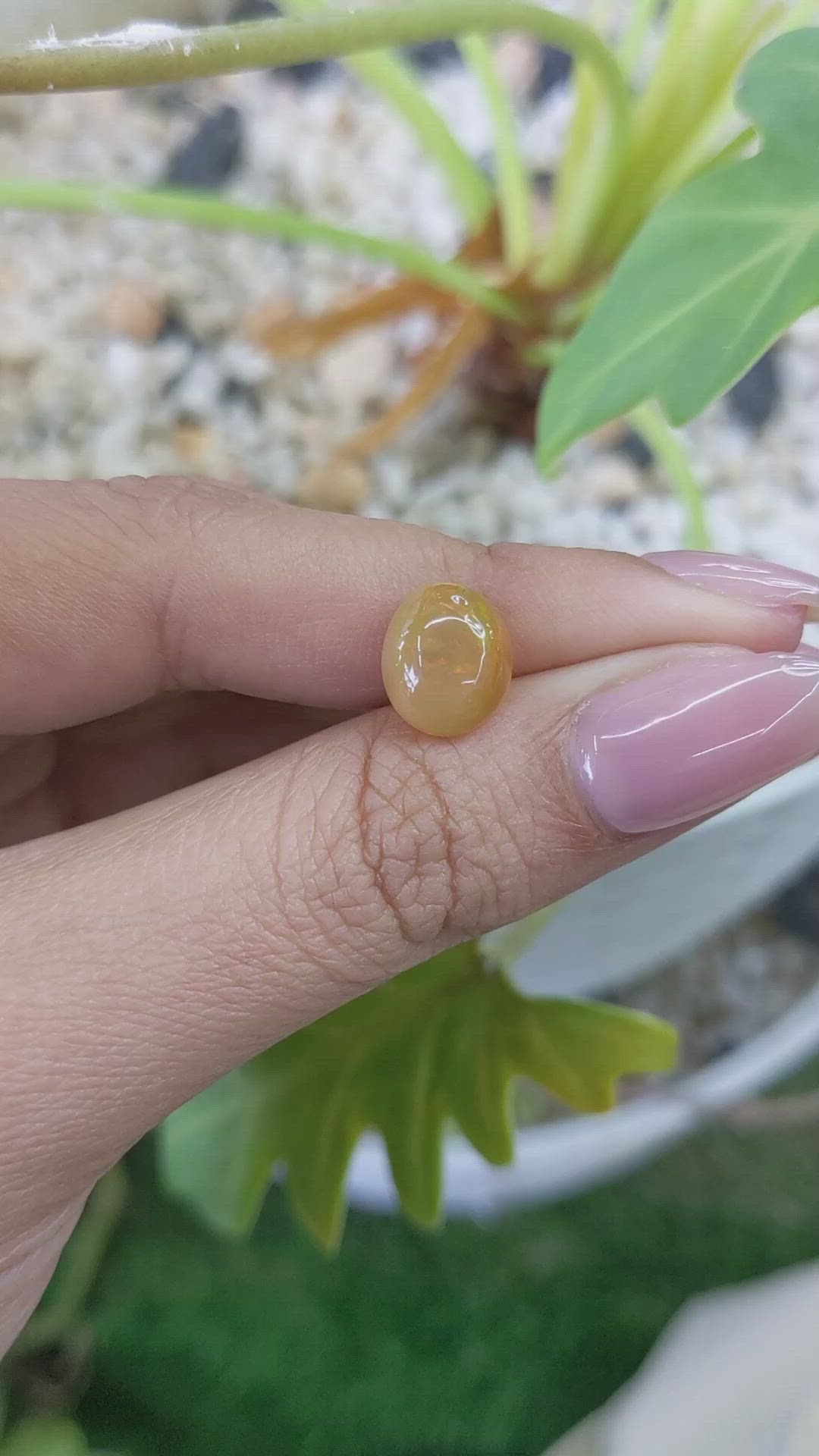 2.40 Ct. Cabochon Fire Opal from Australia Size Video