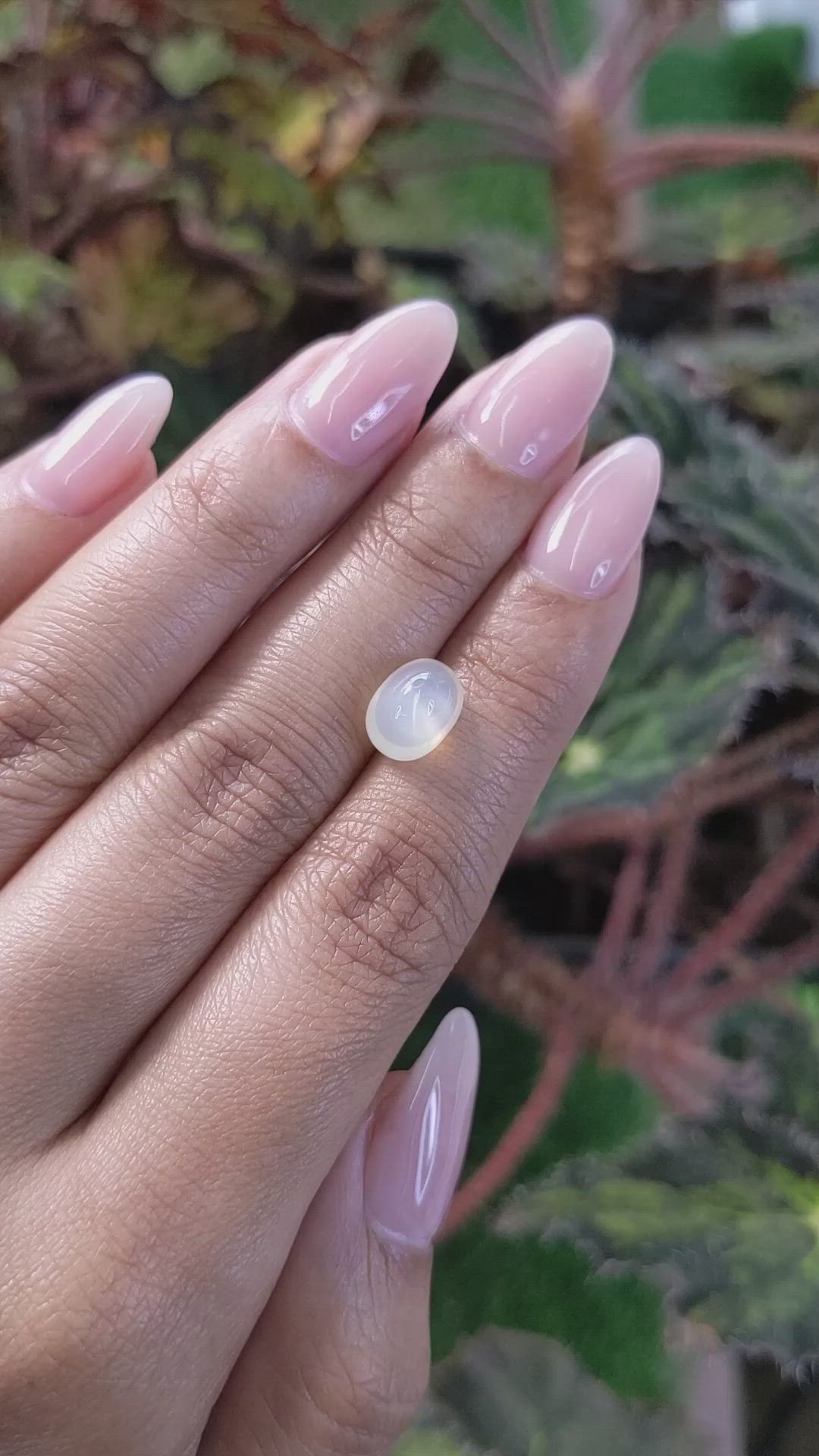 2.73 Ct. Cabochon Moonstone from Ceylon (Sri Lanka) Size Video