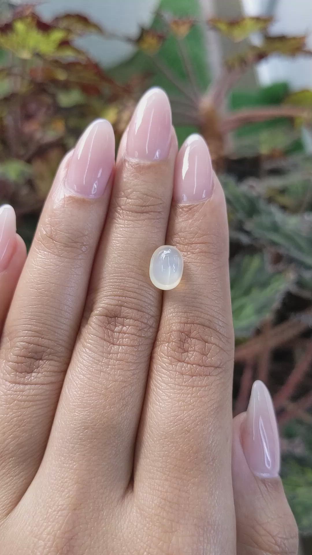 2.73 Ct. Cabochon Moonstone from Ceylon (Sri Lanka) Size Video