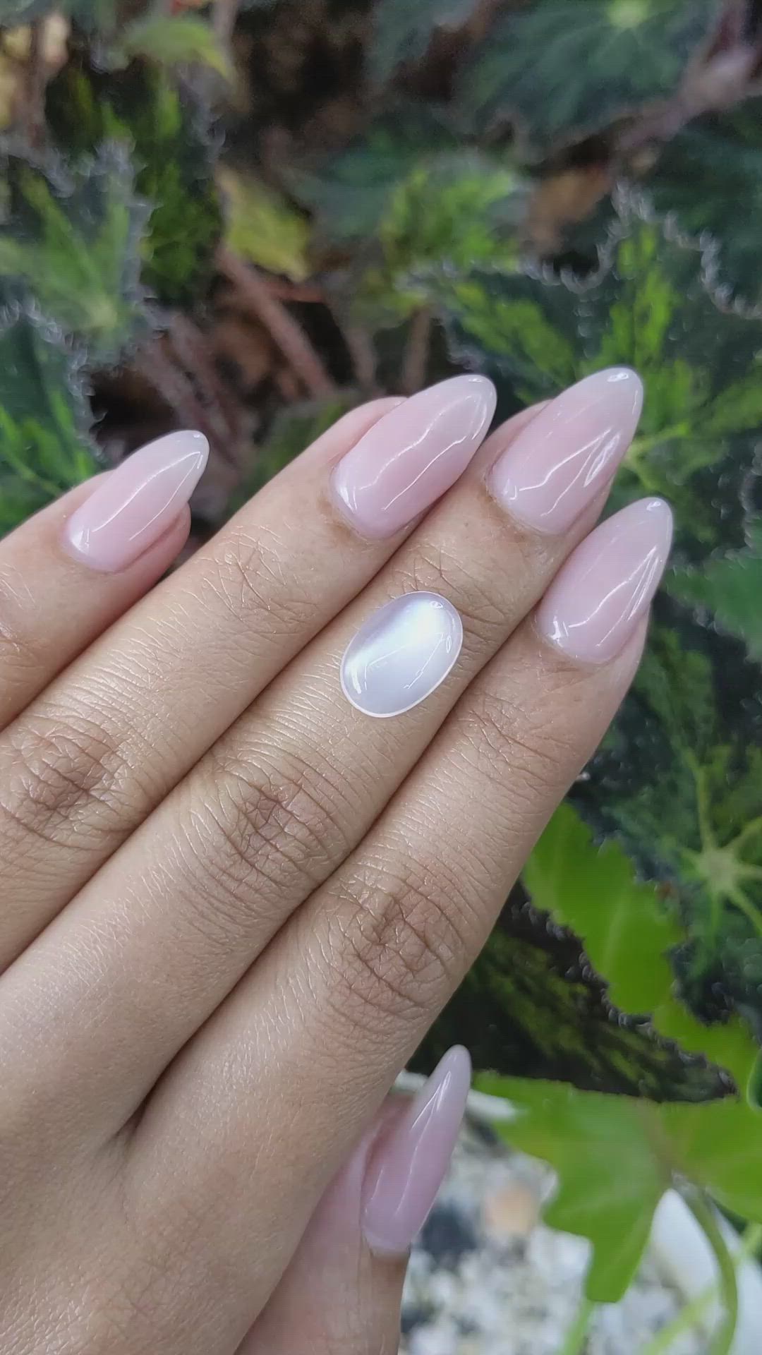 3.10 Ct. Cabochon Moonstone from Ceylon (Sri Lanka) Size Video