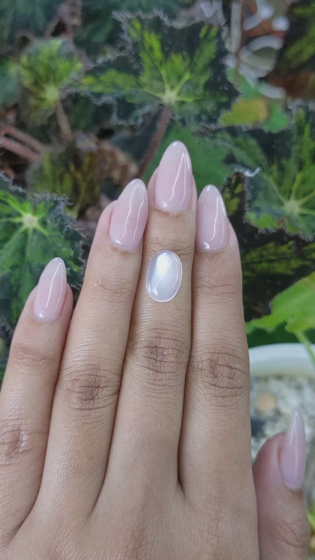 3.10 Ct. Cabochon Moonstone from Ceylon (Sri Lanka) Size Video