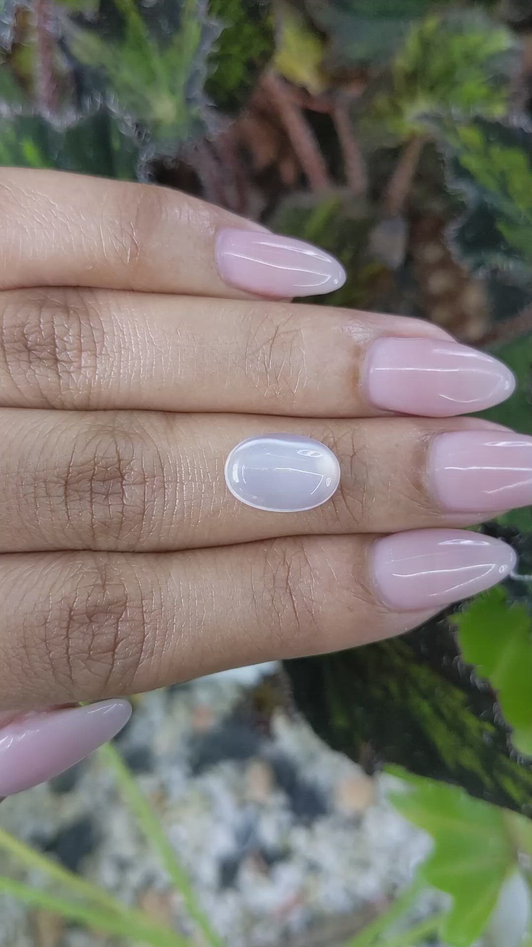 3.10 Ct. Cabochon Moonstone from Ceylon (Sri Lanka) Size Video