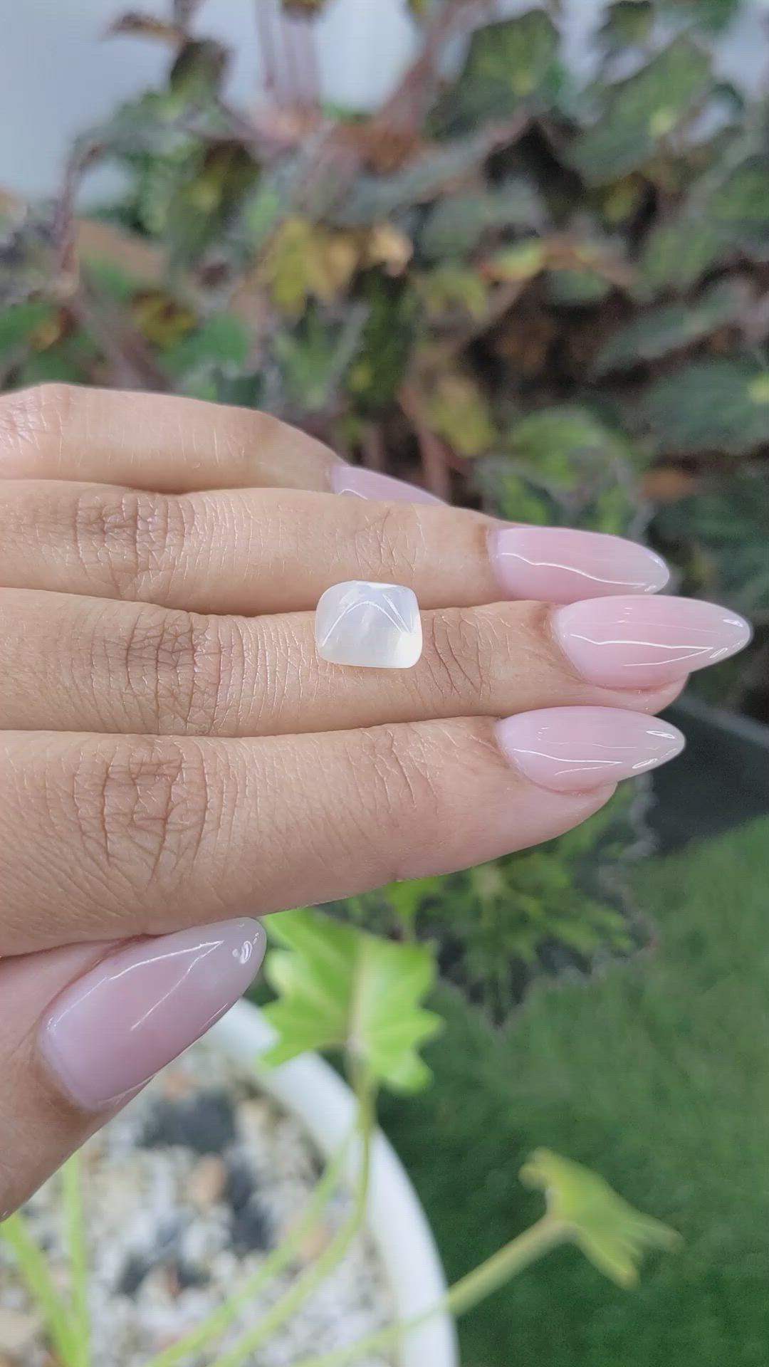 4.23 Ct. Cabochon Moonstone from Ceylon (Sri Lanka) Size Video