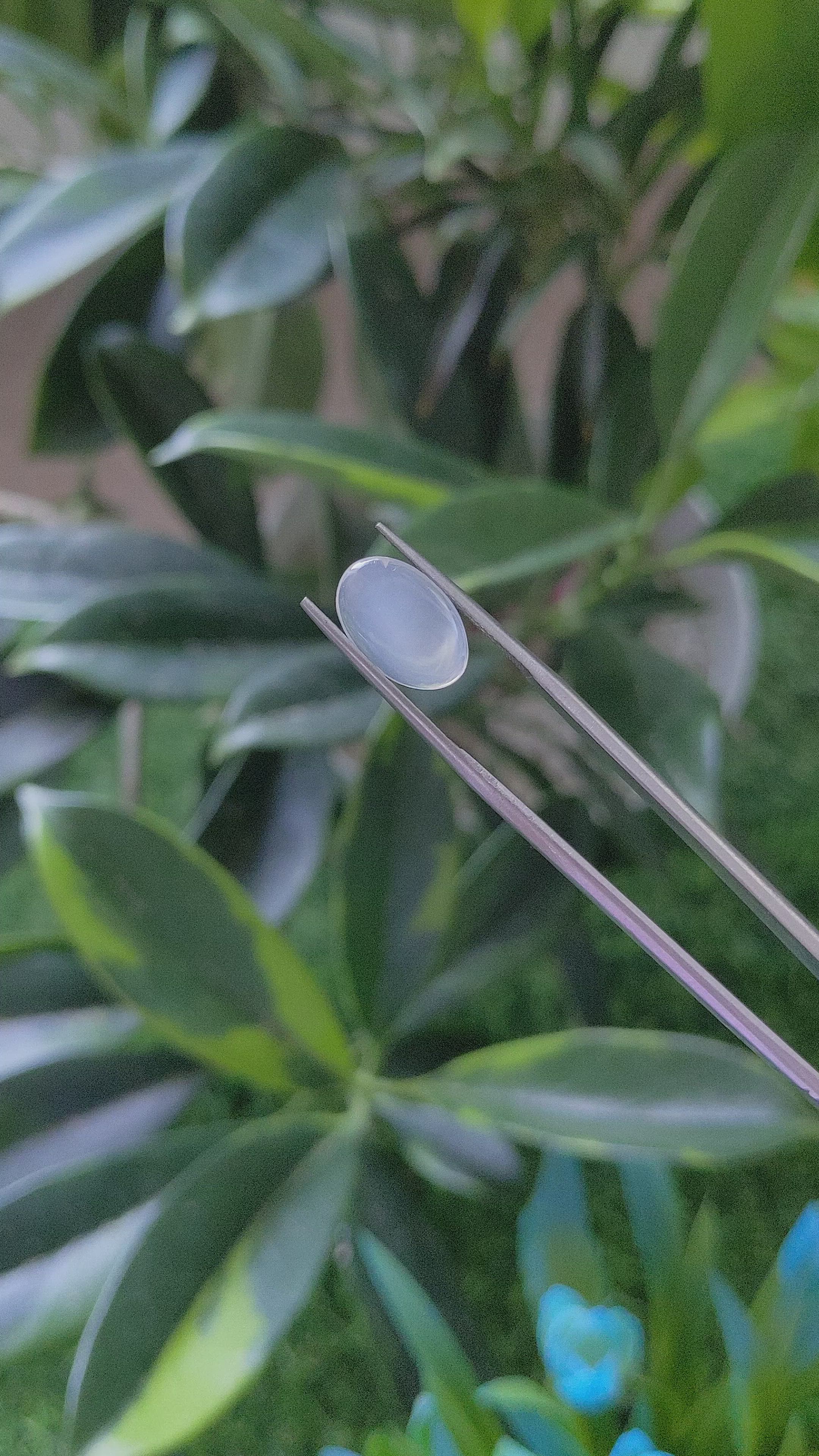 2.29 Ct. Cabochon Moonstone from Ceylon (Sri Lanka) Size Video